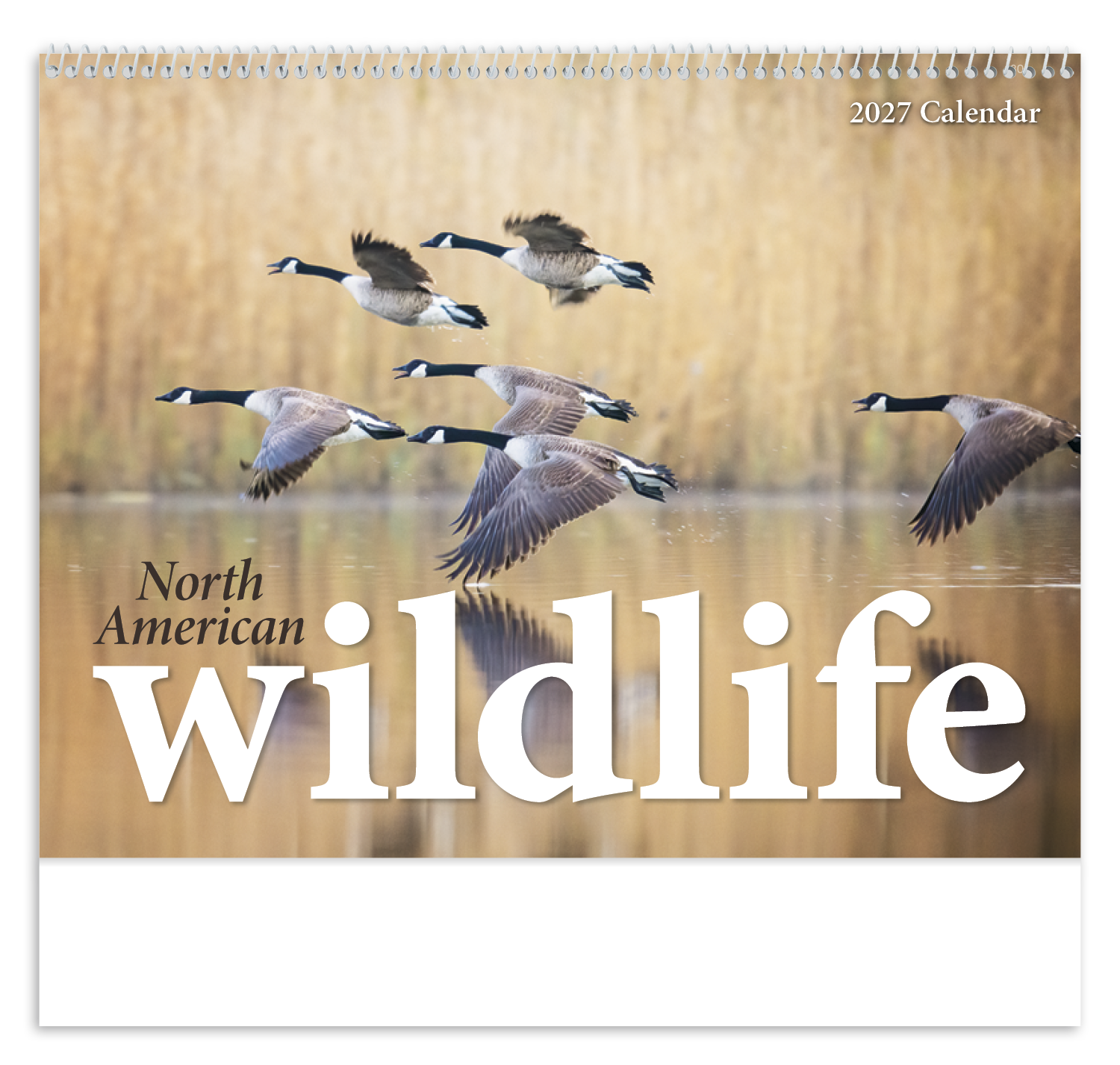 North American Wildlife Calendar