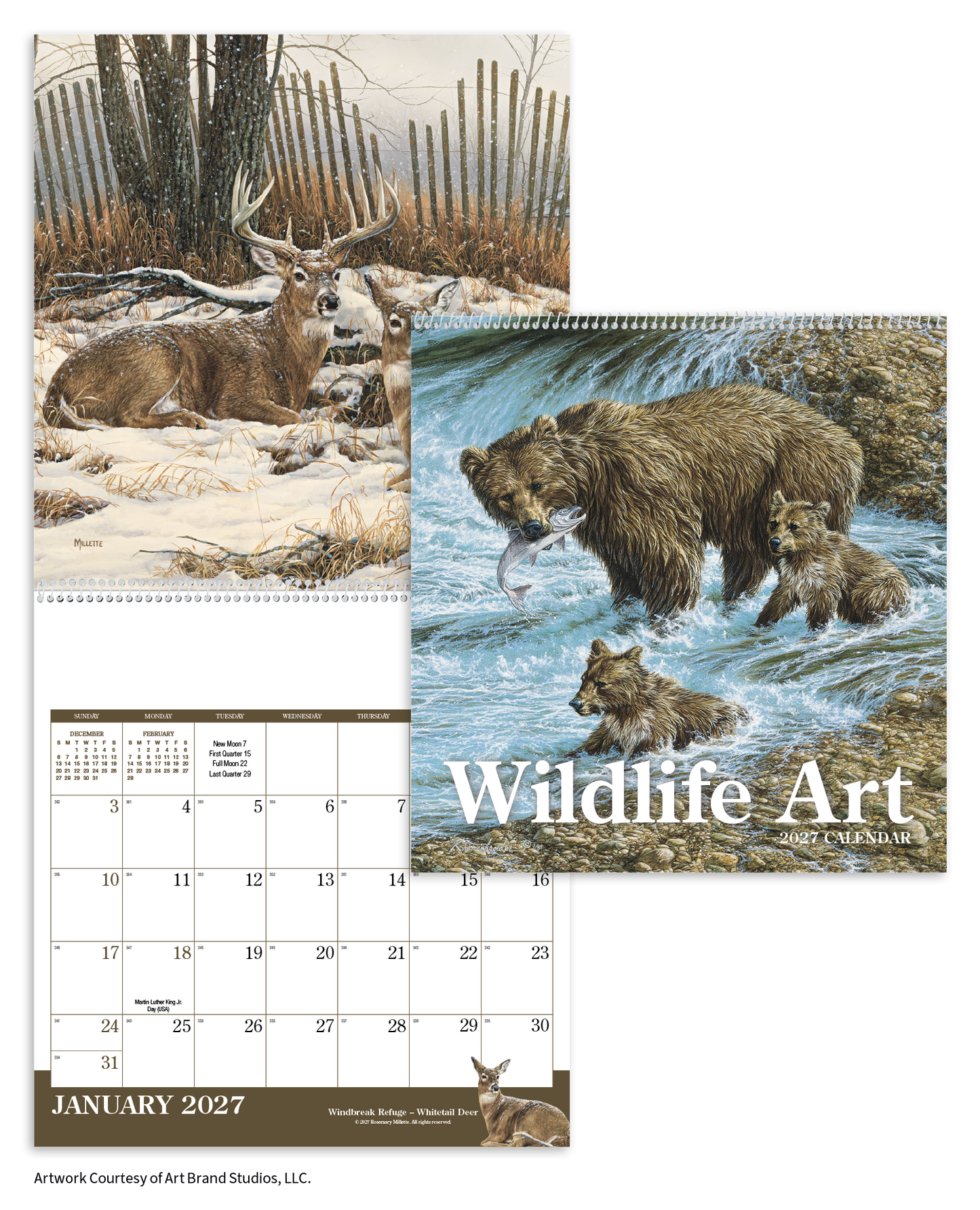 Wildlife Art Calendar