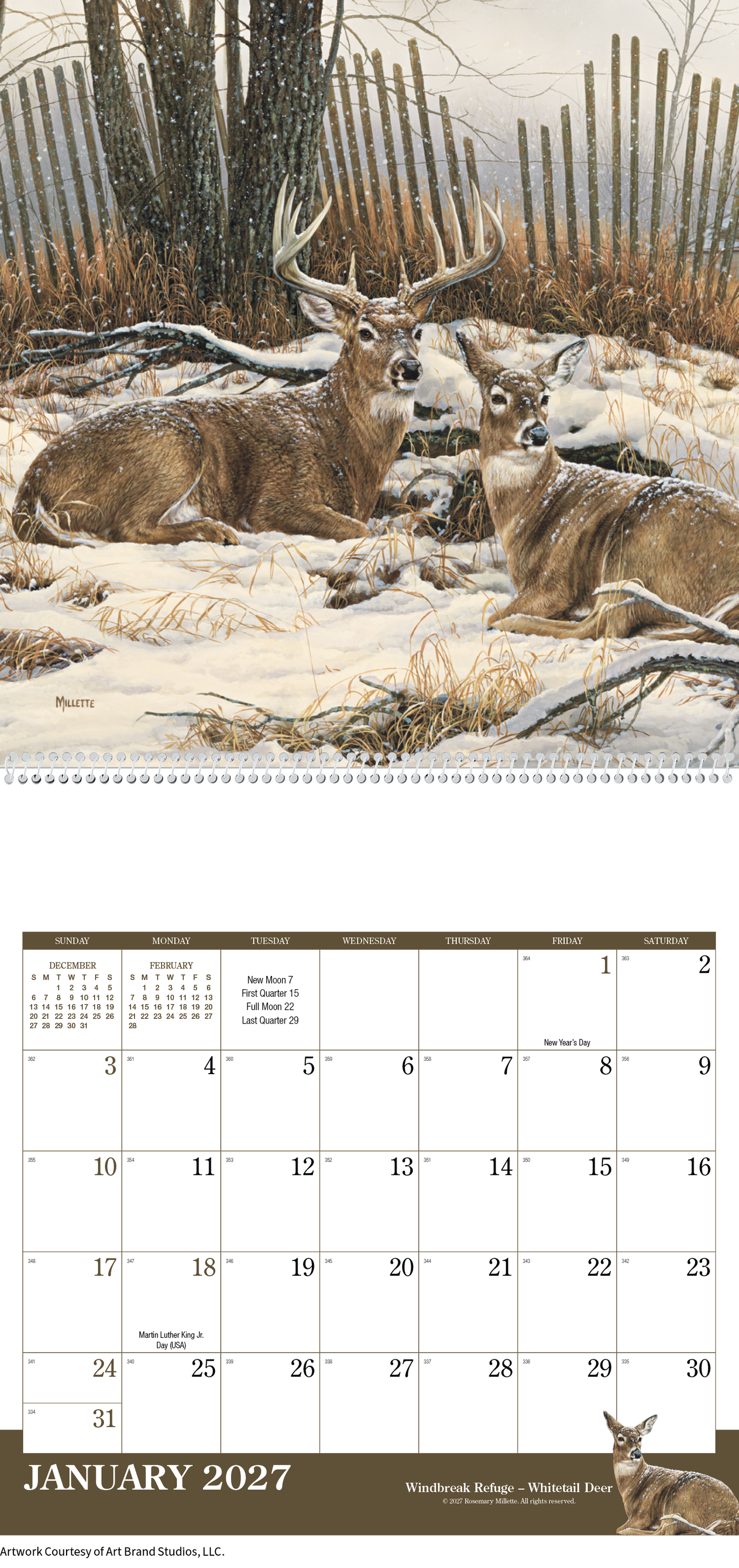 Wildlife Art Calendar