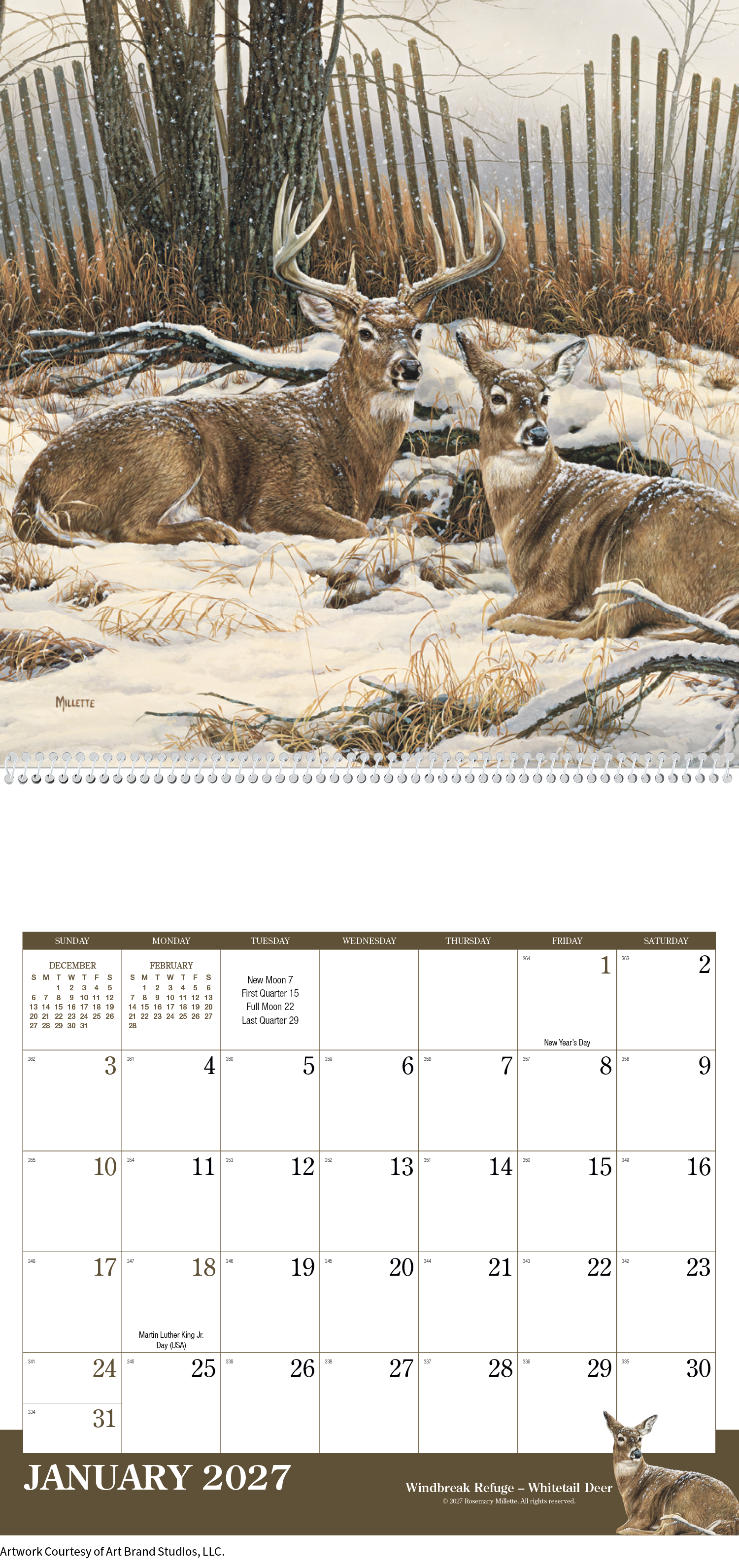 Wildlife Art Calendar