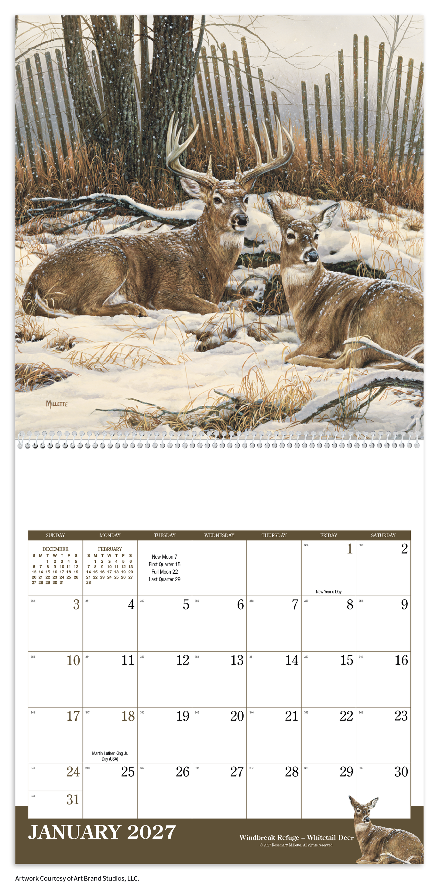 Wildlife Art Calendar