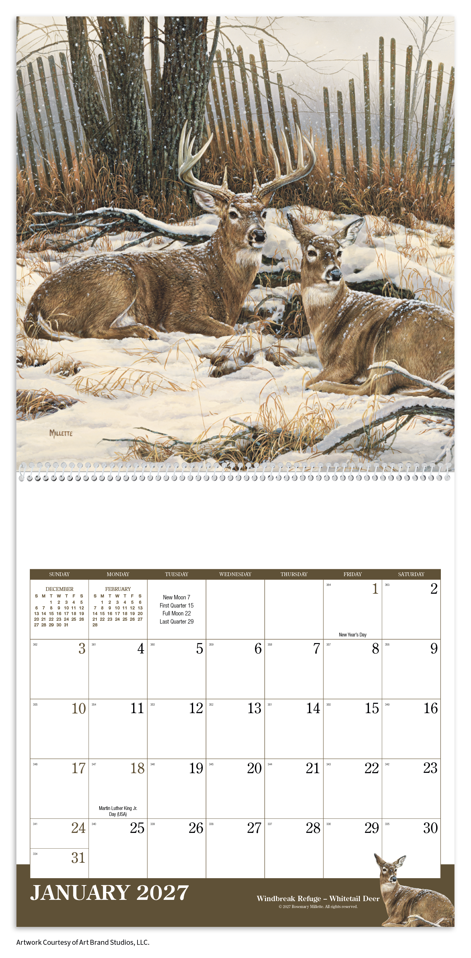 Wildlife Art Calendar