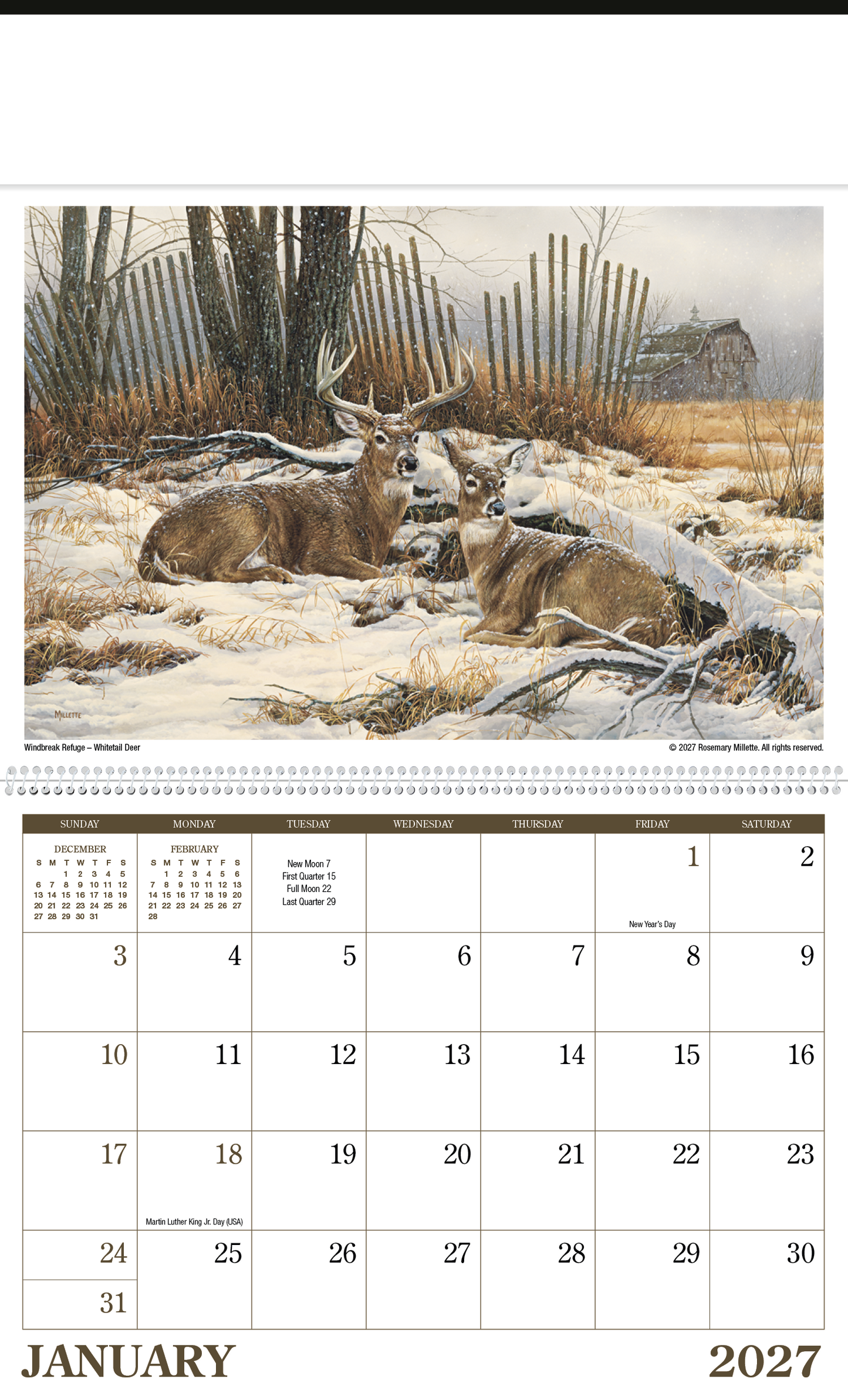 Wildlife Art Calendar