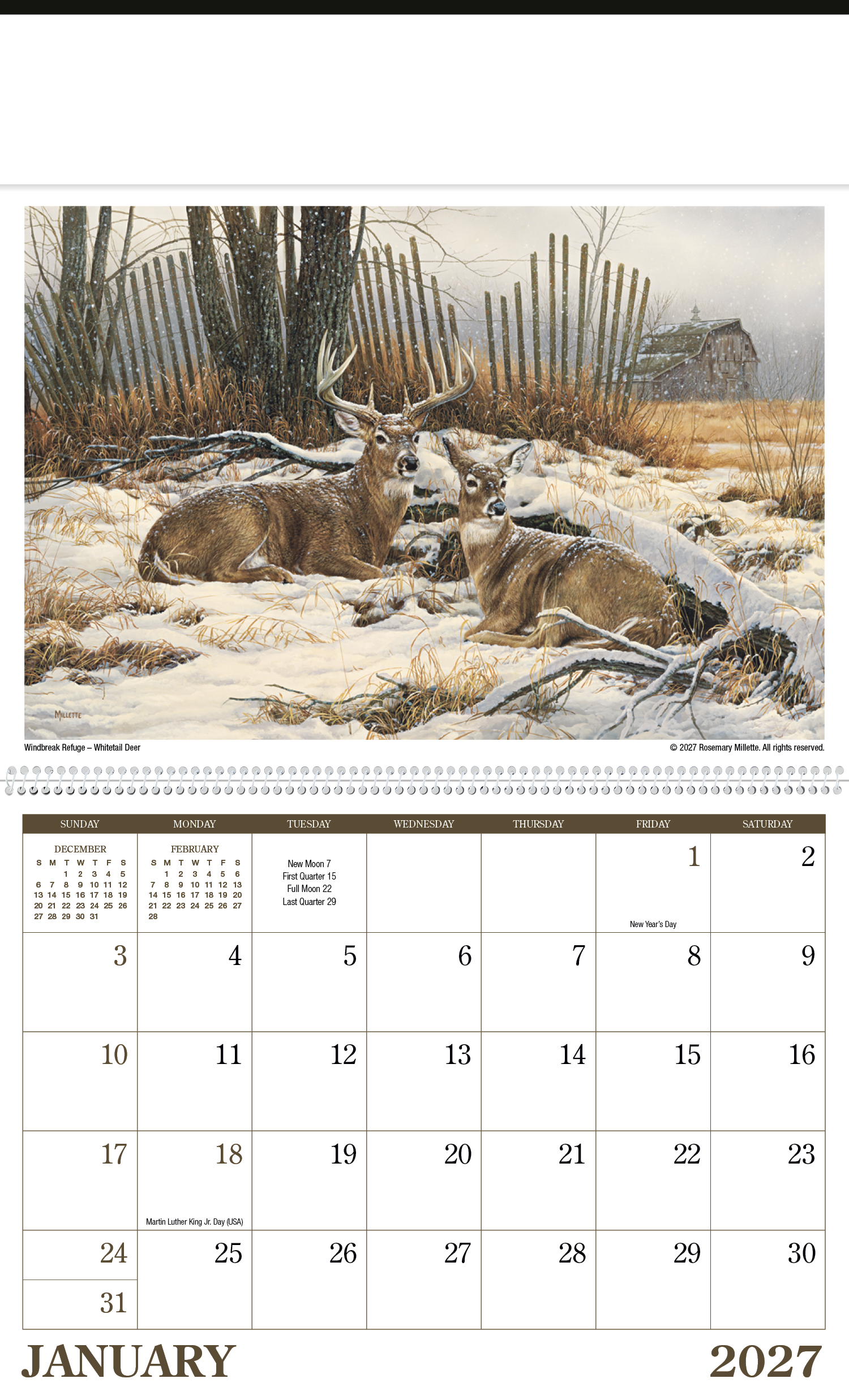 Wildlife Art Calendar