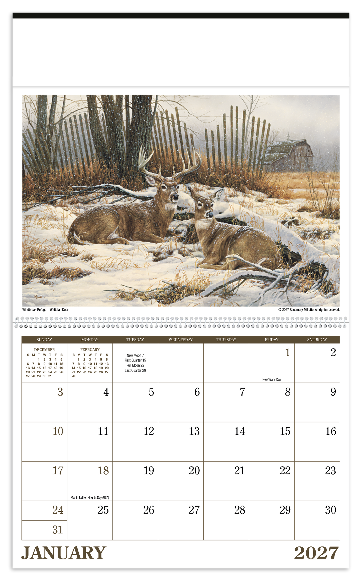Wildlife Art Calendar