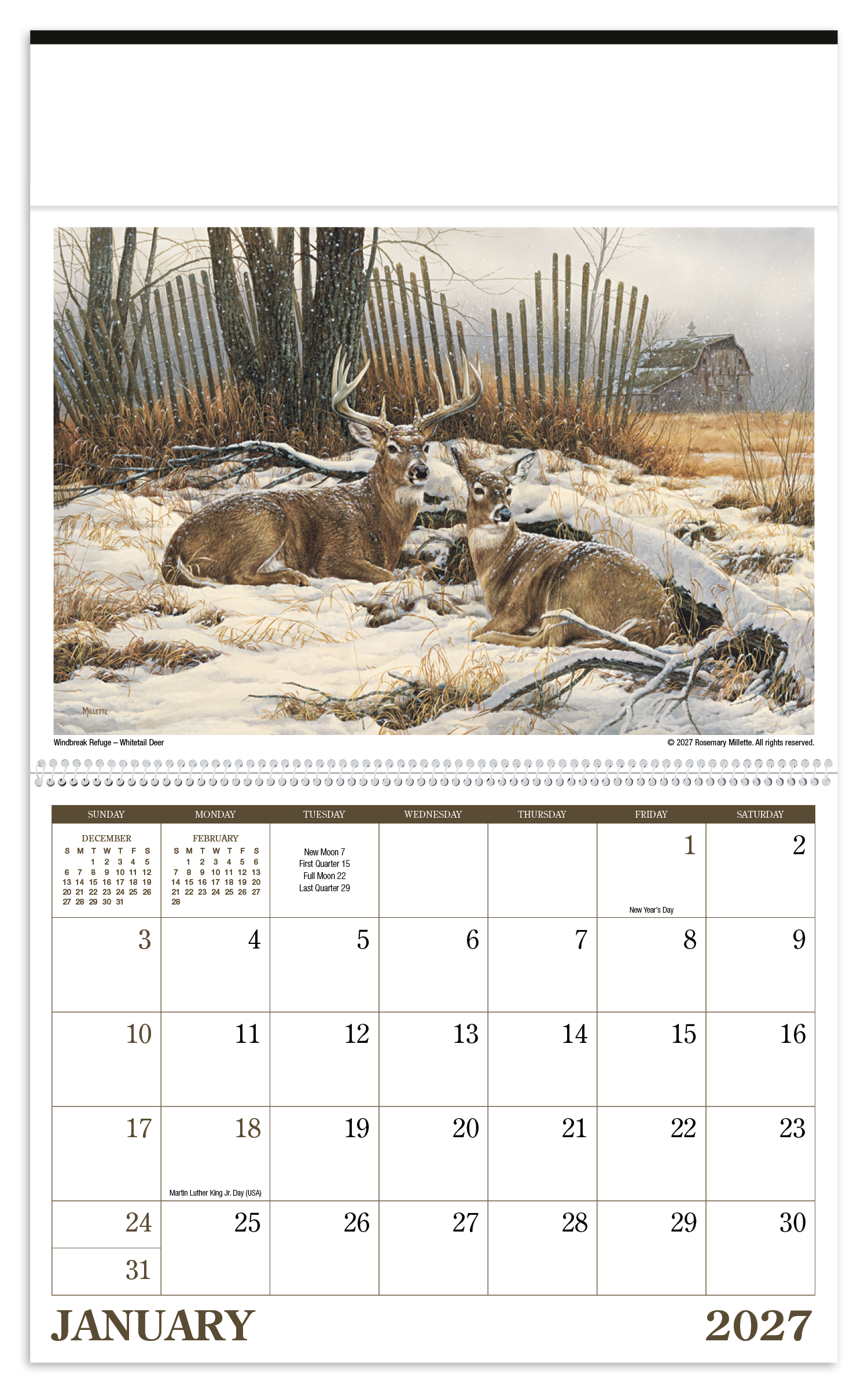 Wildlife Art Calendar
