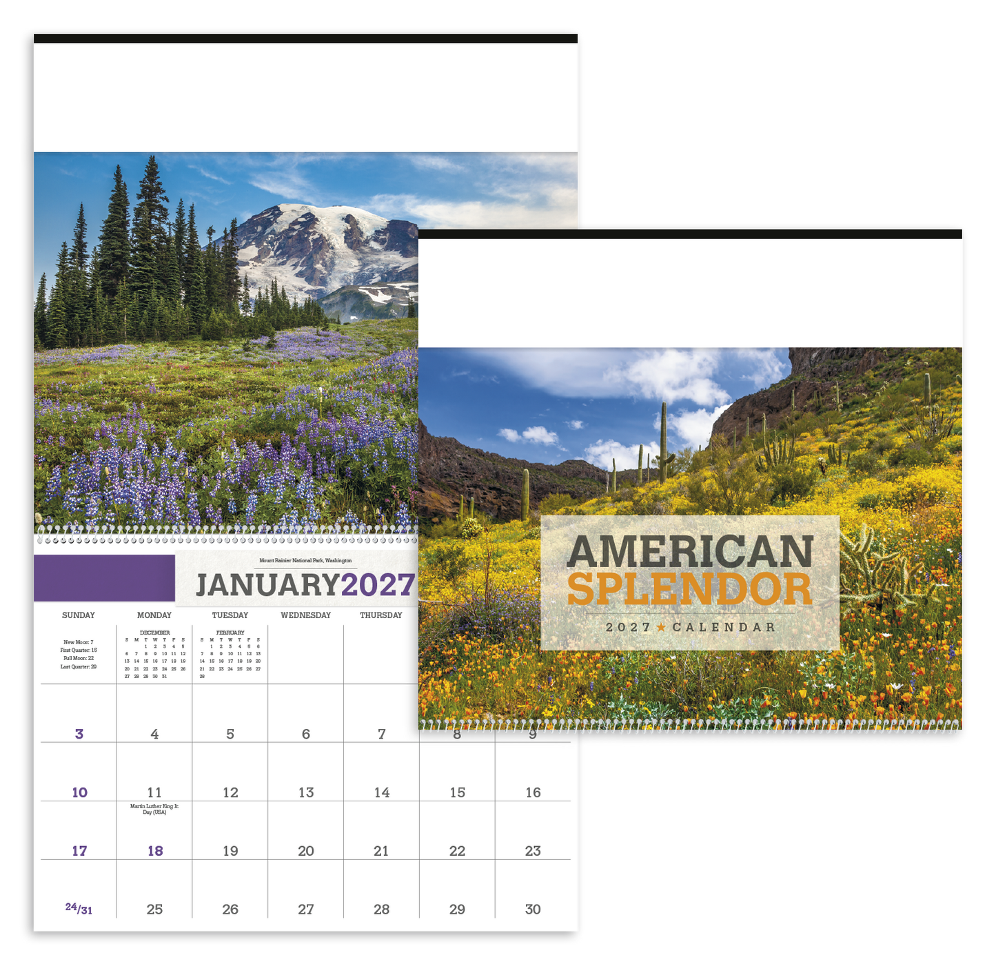American Splendor Calendar