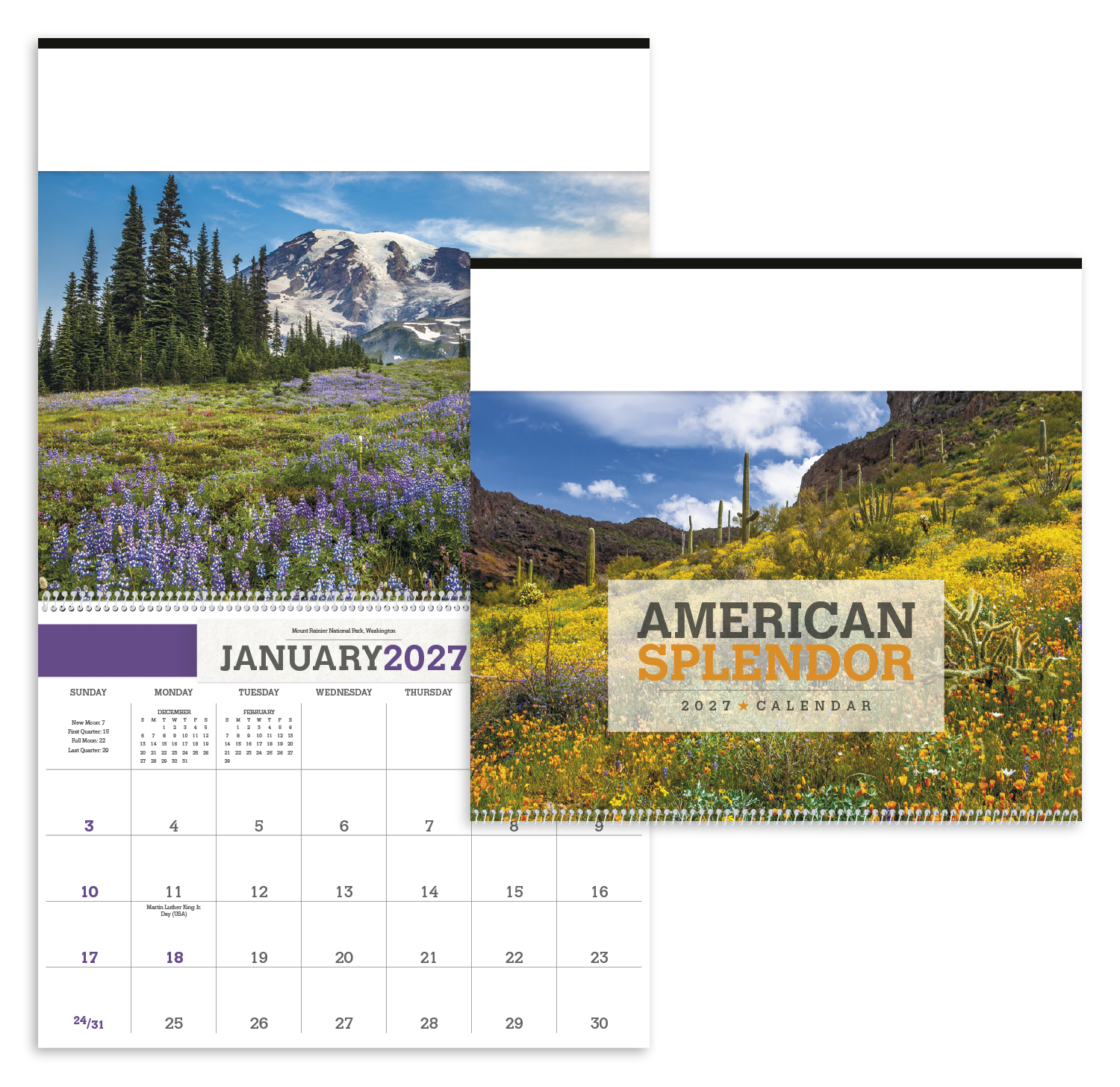 American Splendor Calendar