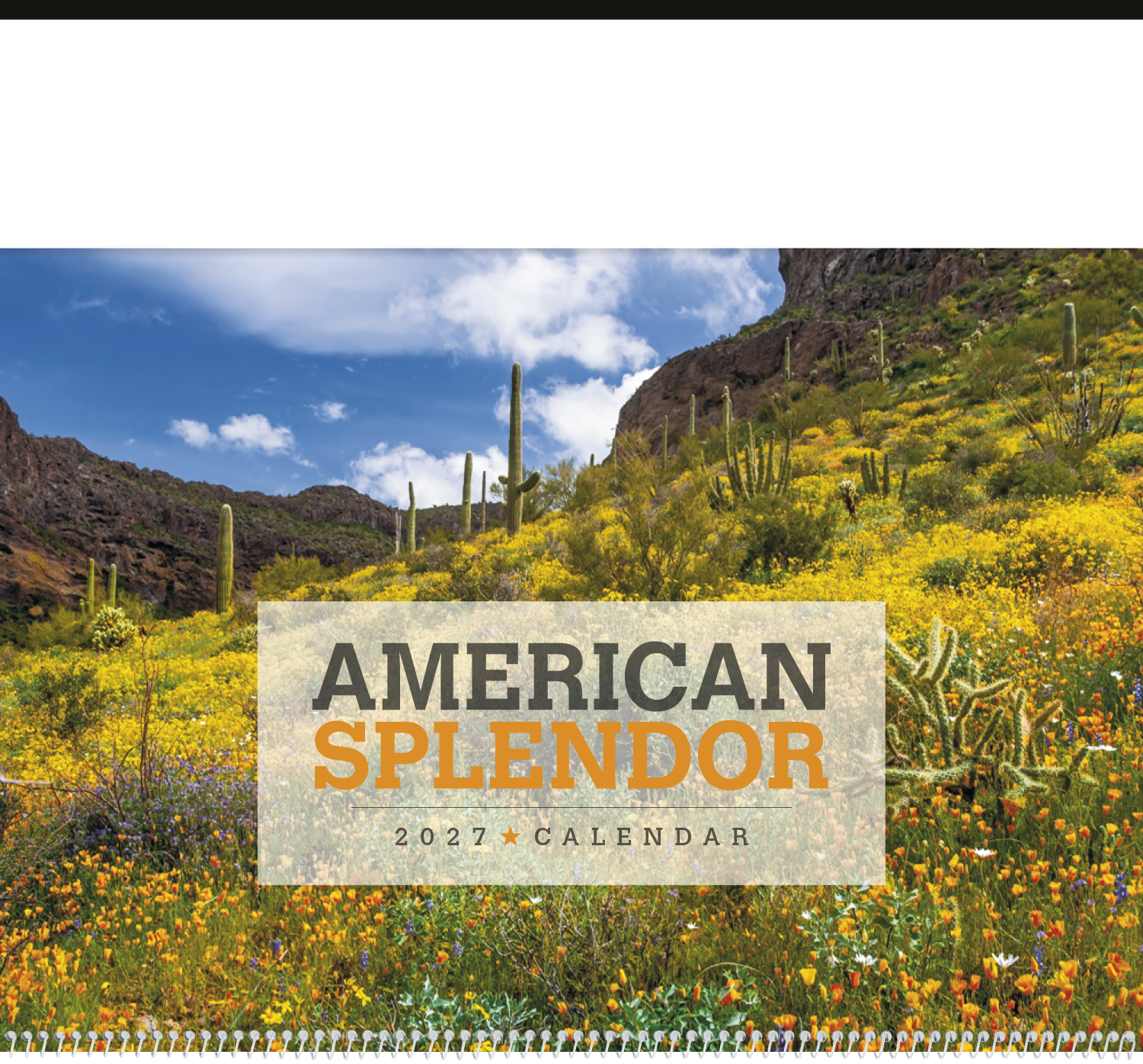 American Splendor Calendar