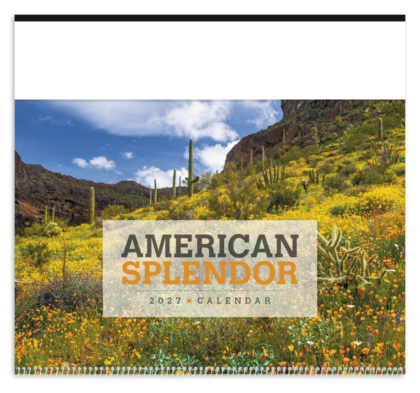 American Splendor Calendar