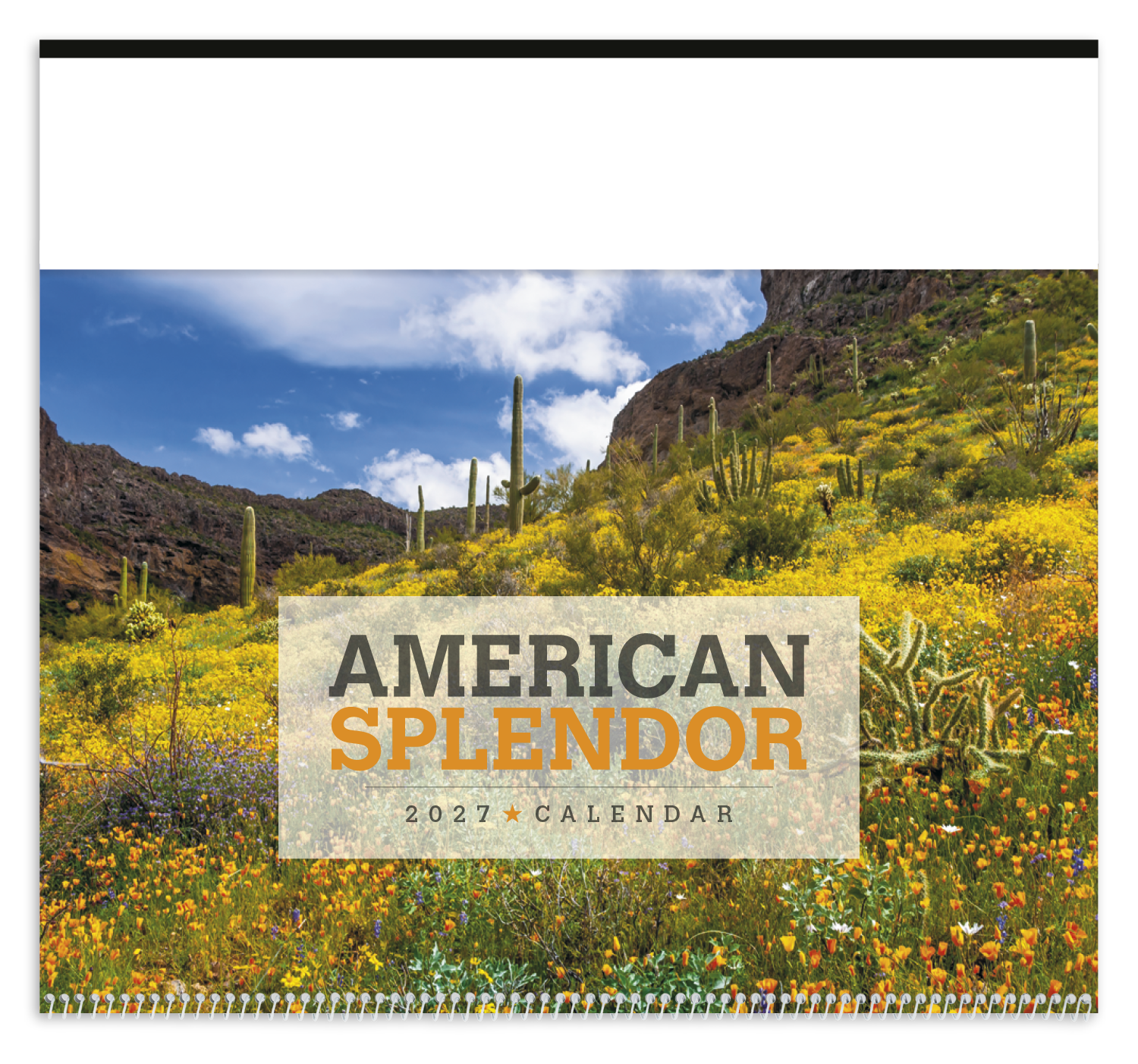American Splendor Calendar