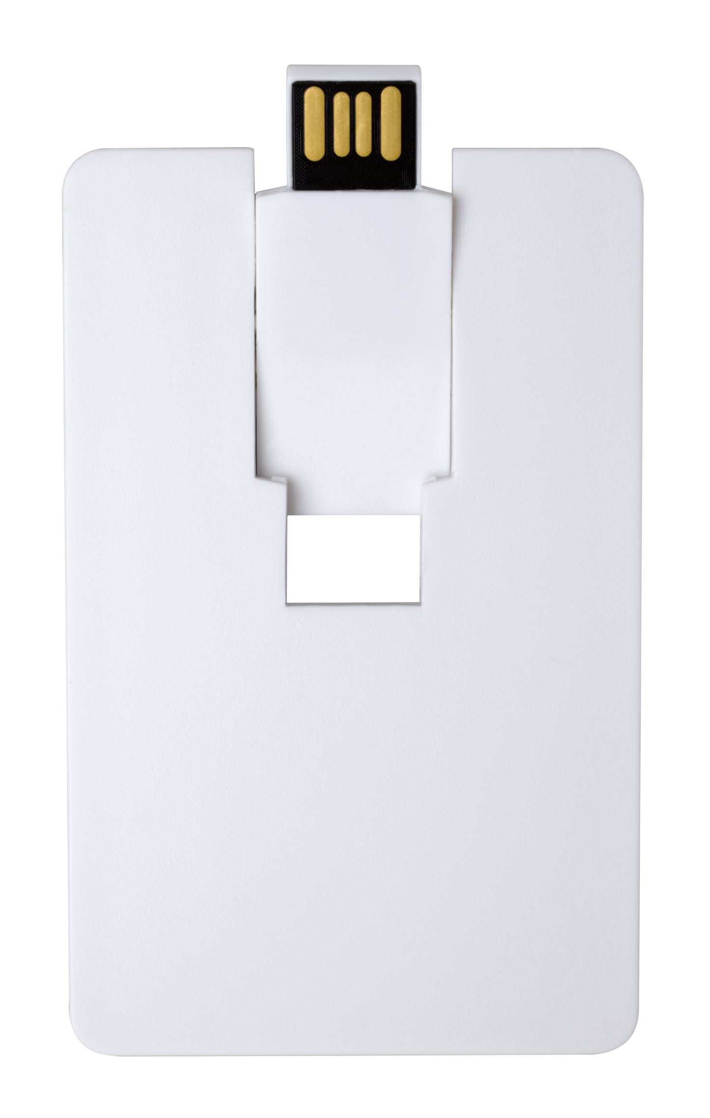 1 GB Flip Card USB 2.0 Flash Drive