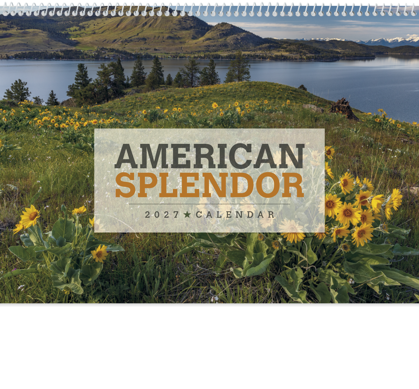 American Splendor Pocket Calendar