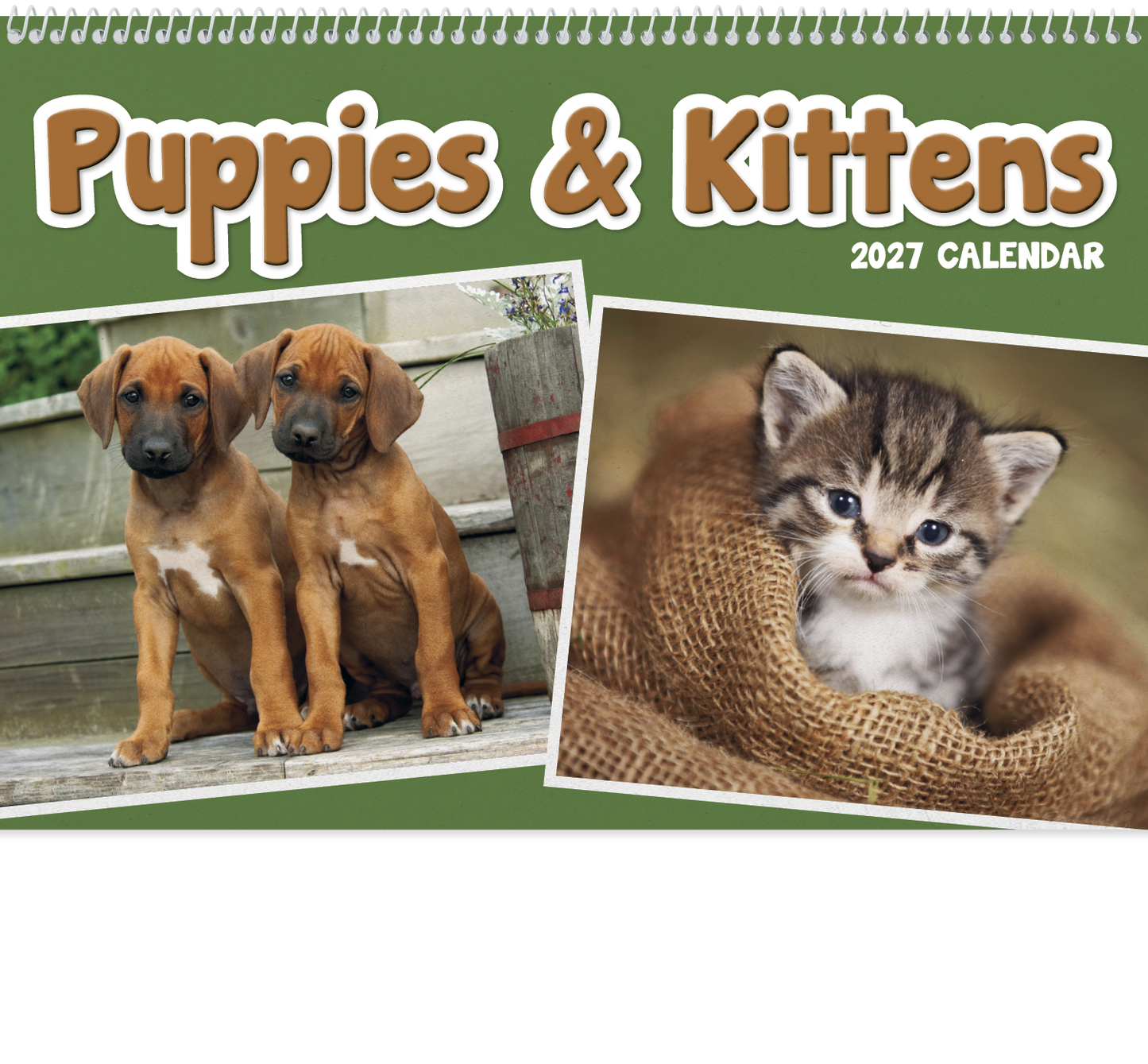 Puppies & Kittens Pocket Calendar