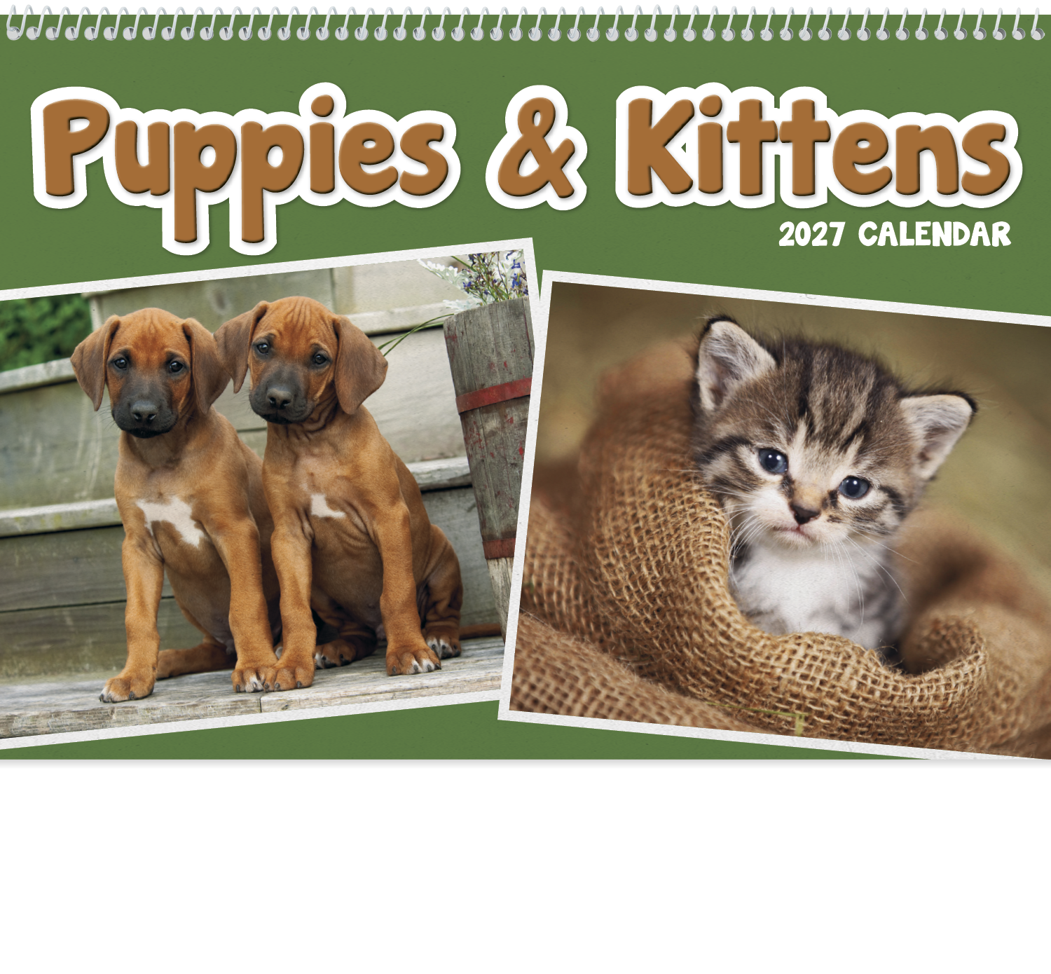 Puppies & Kittens Pocket Calendar