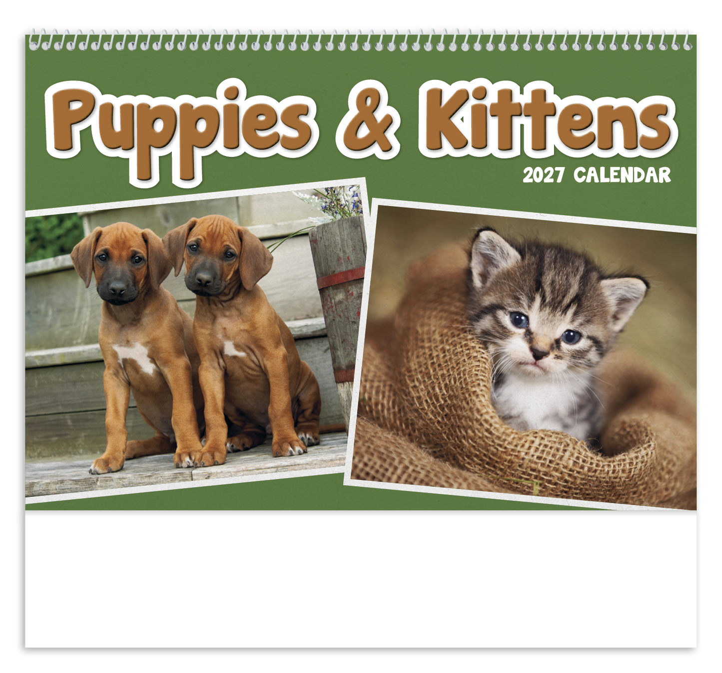 Puppies & Kittens Pocket Calendar