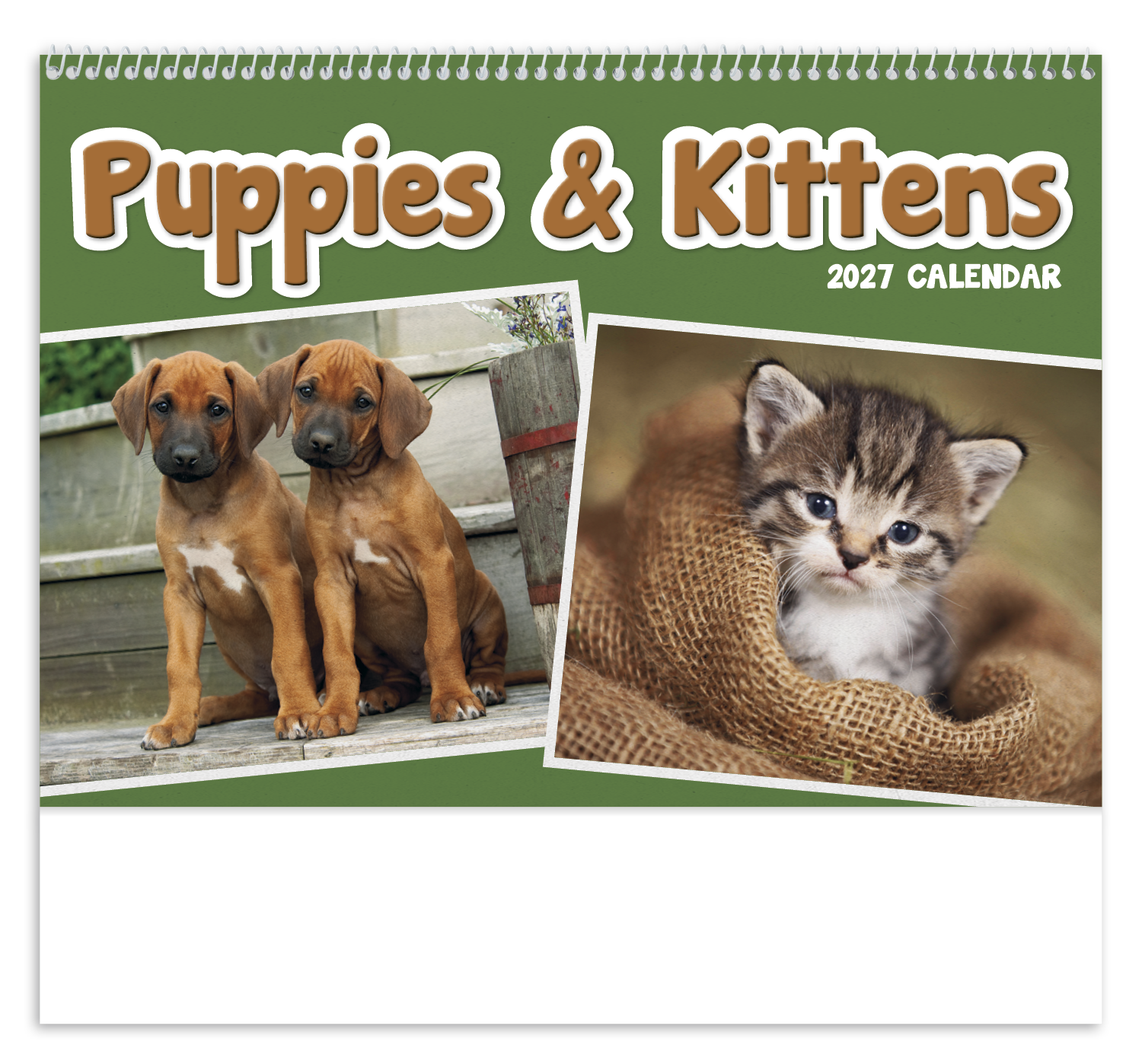 Puppies & Kittens Pocket Calendar