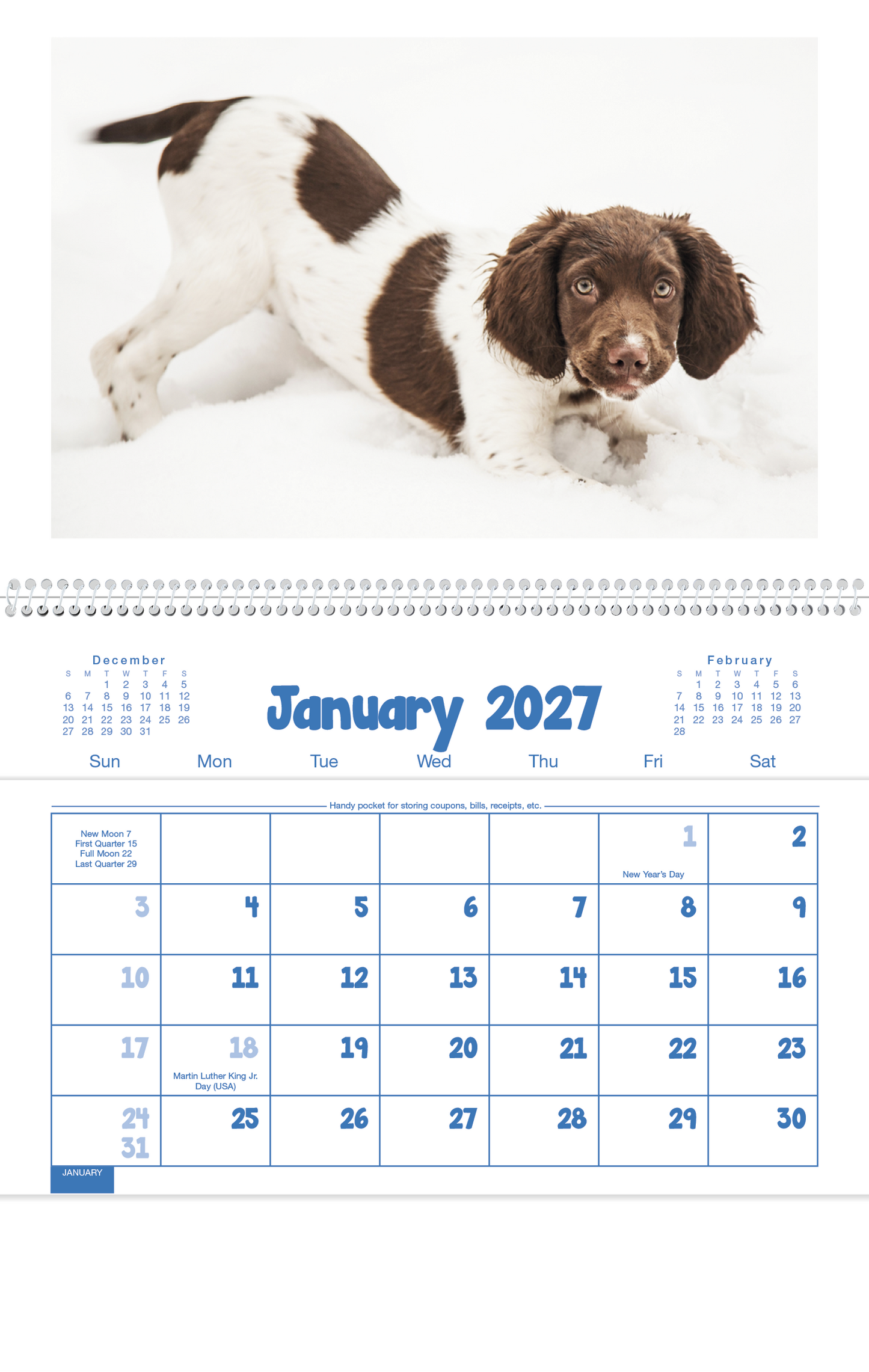 Puppies & Kittens Pocket Calendar