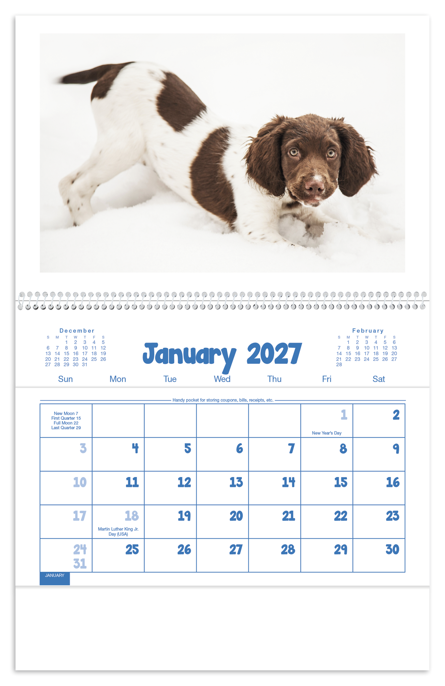 Puppies & Kittens Pocket Calendar