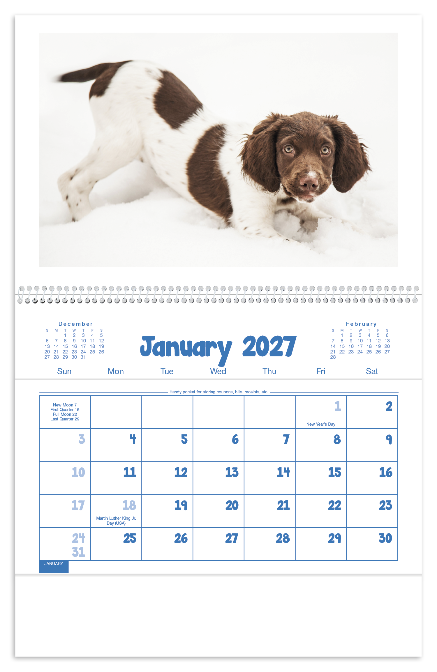 Puppies & Kittens Pocket Calendar