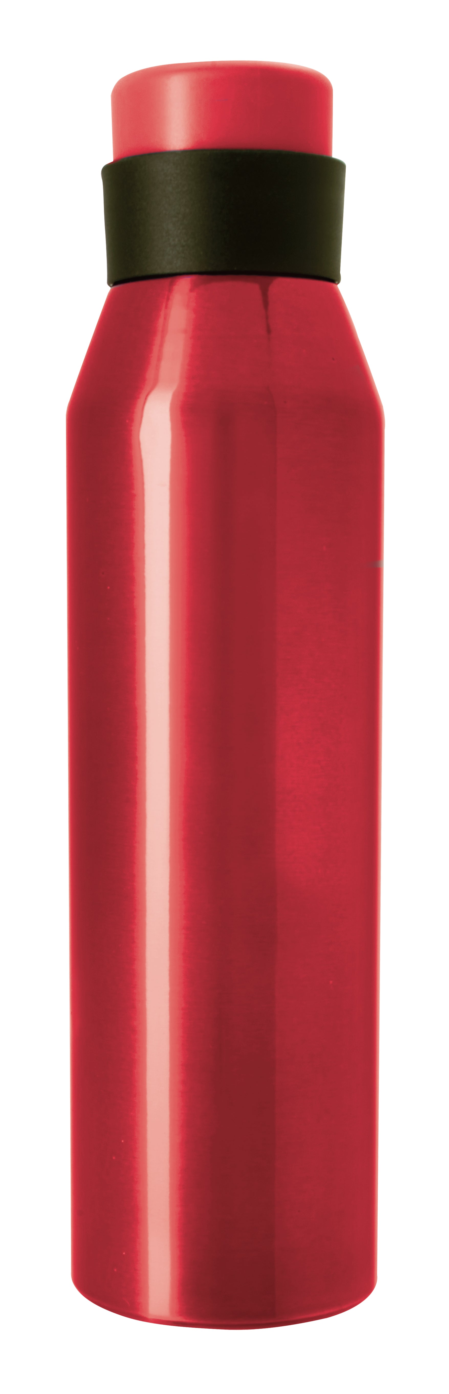 Nick Aluminum Bottle - 24 oz