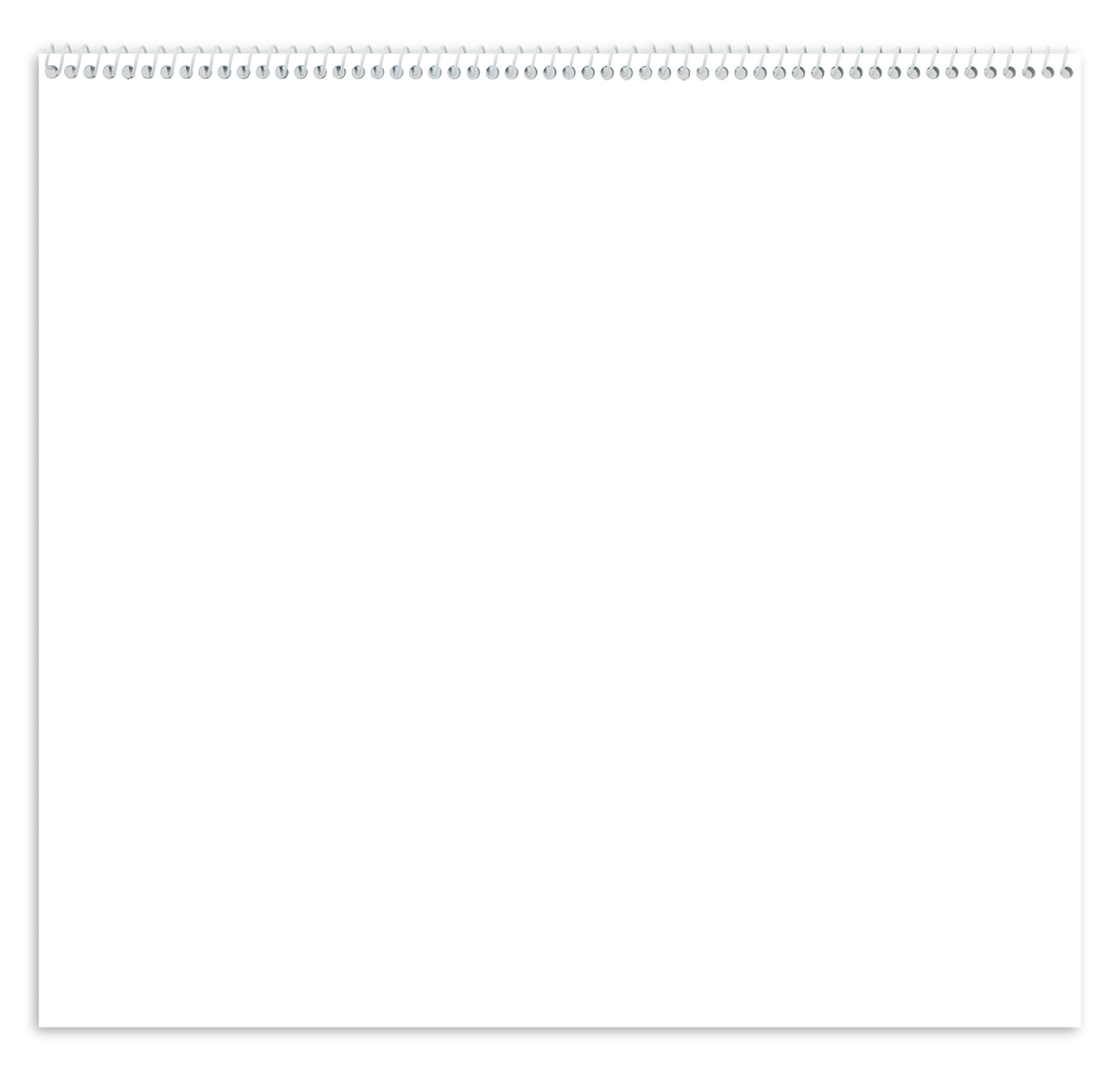 Custom Single Image Appointment Calendar