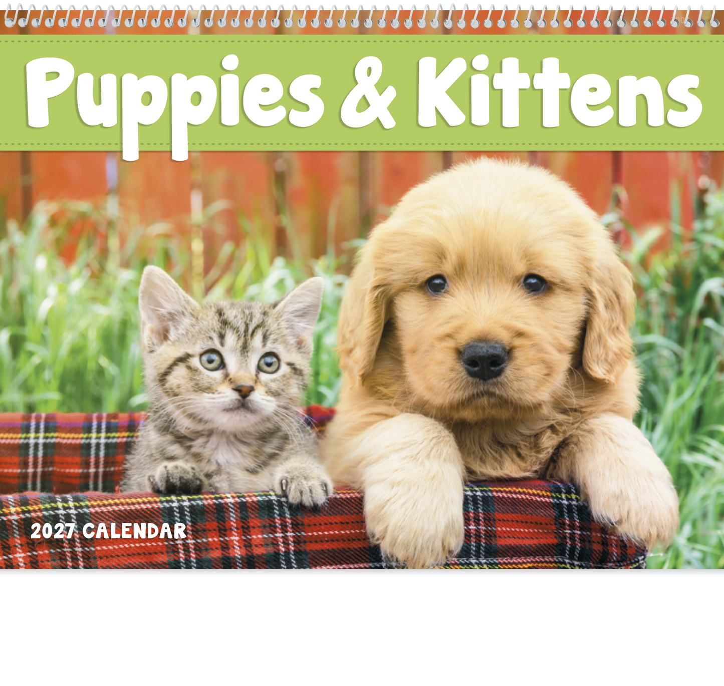 Puppies & Kittens - Spiral Calendar