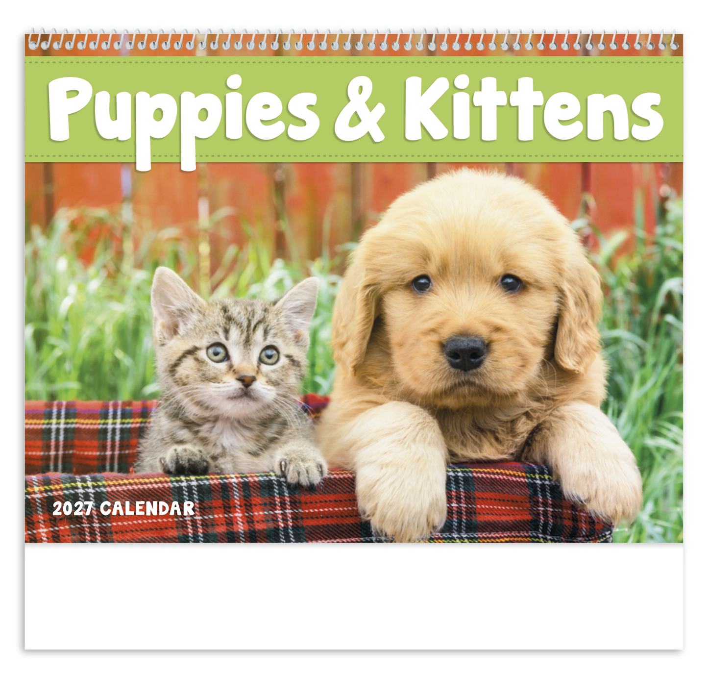 Puppies & Kittens - Spiral Calendar