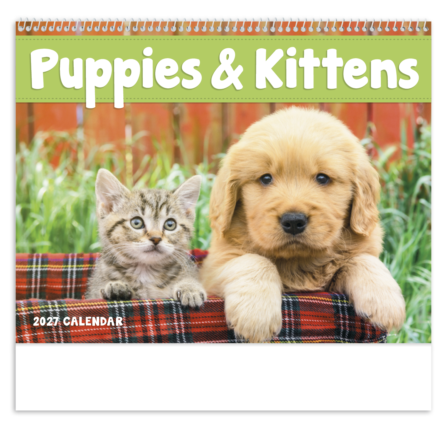 Puppies & Kittens - Spiral Calendar