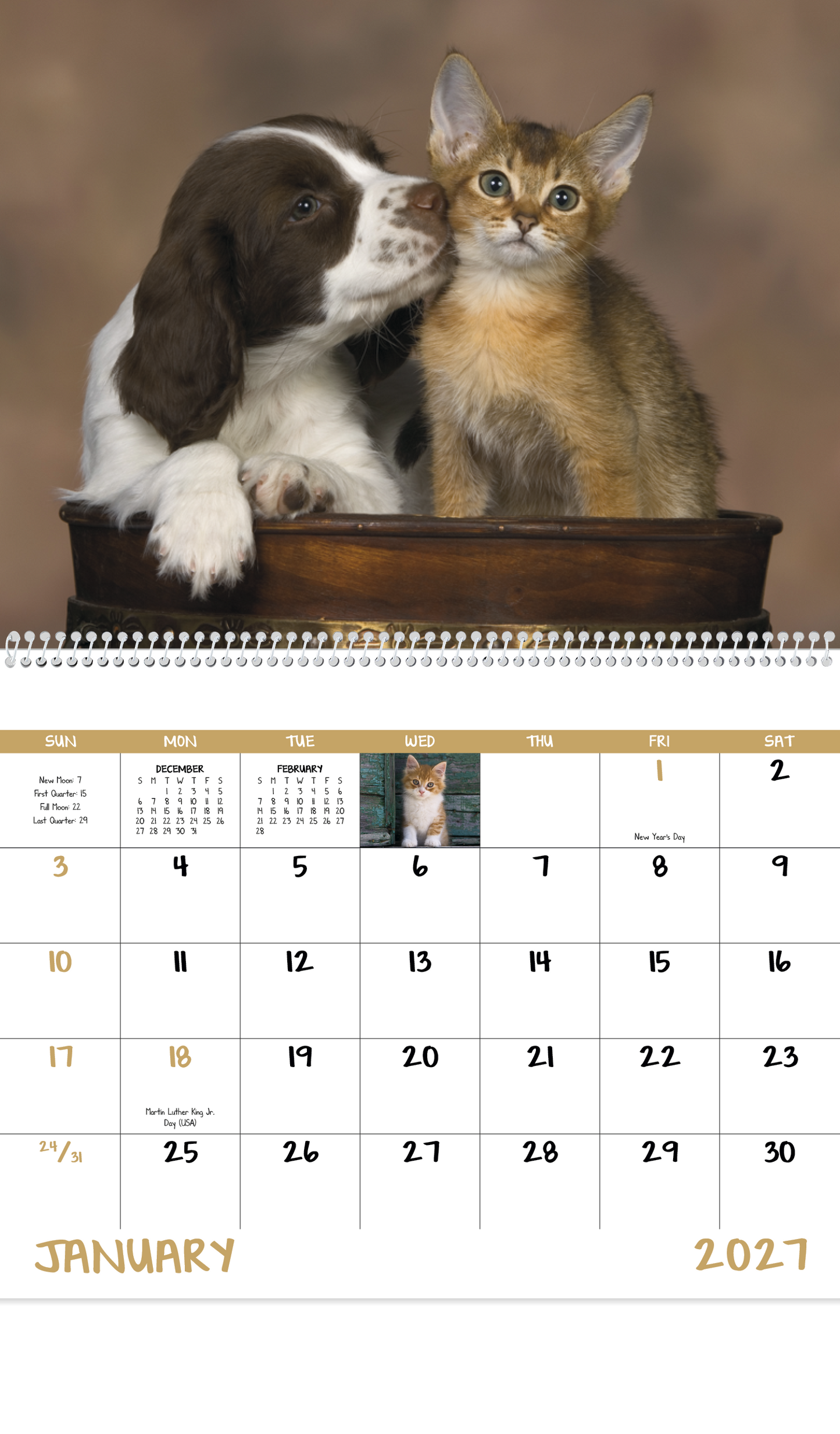 Puppies & Kittens - Spiral Calendar