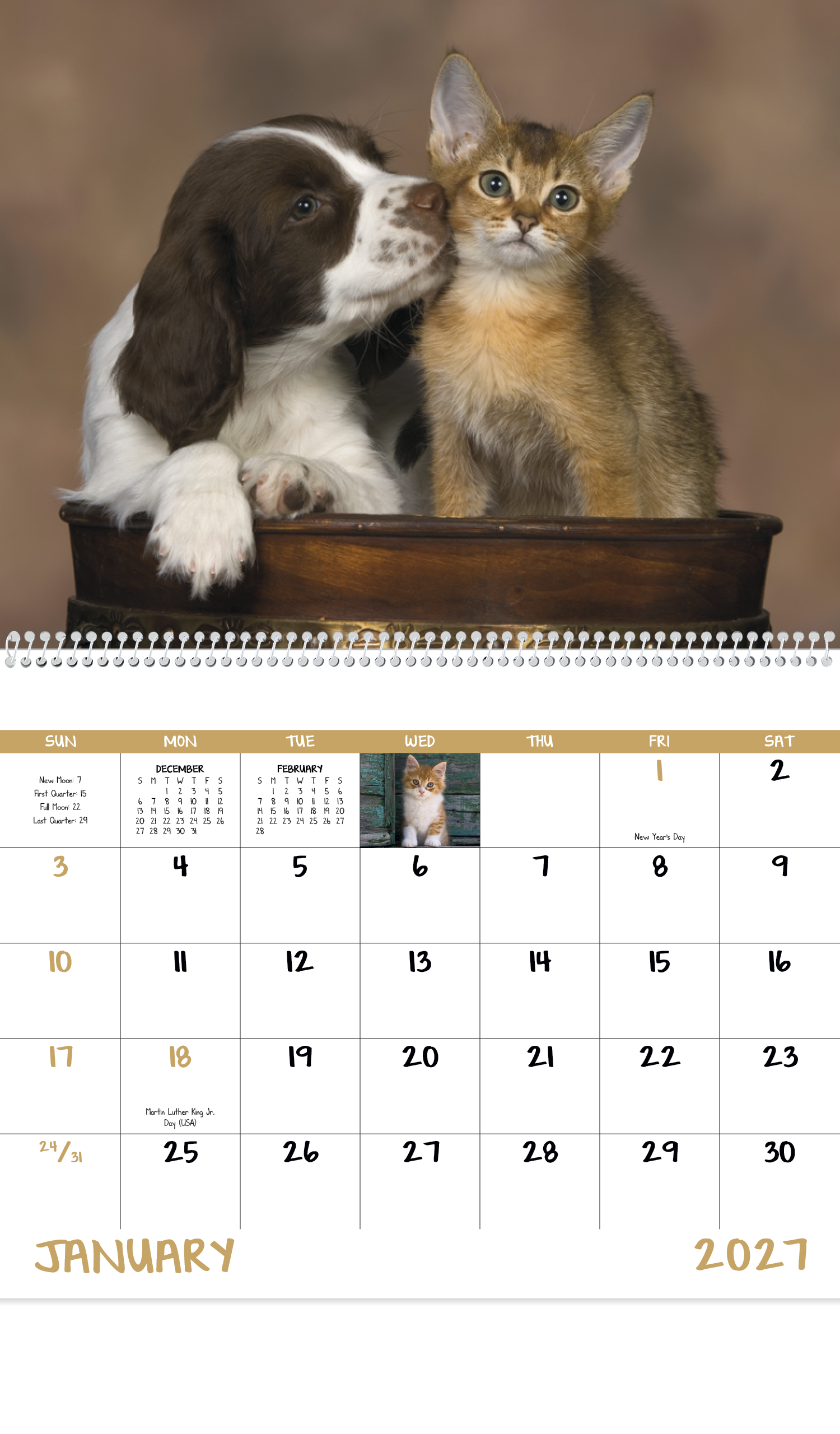 Puppies & Kittens - Spiral Calendar