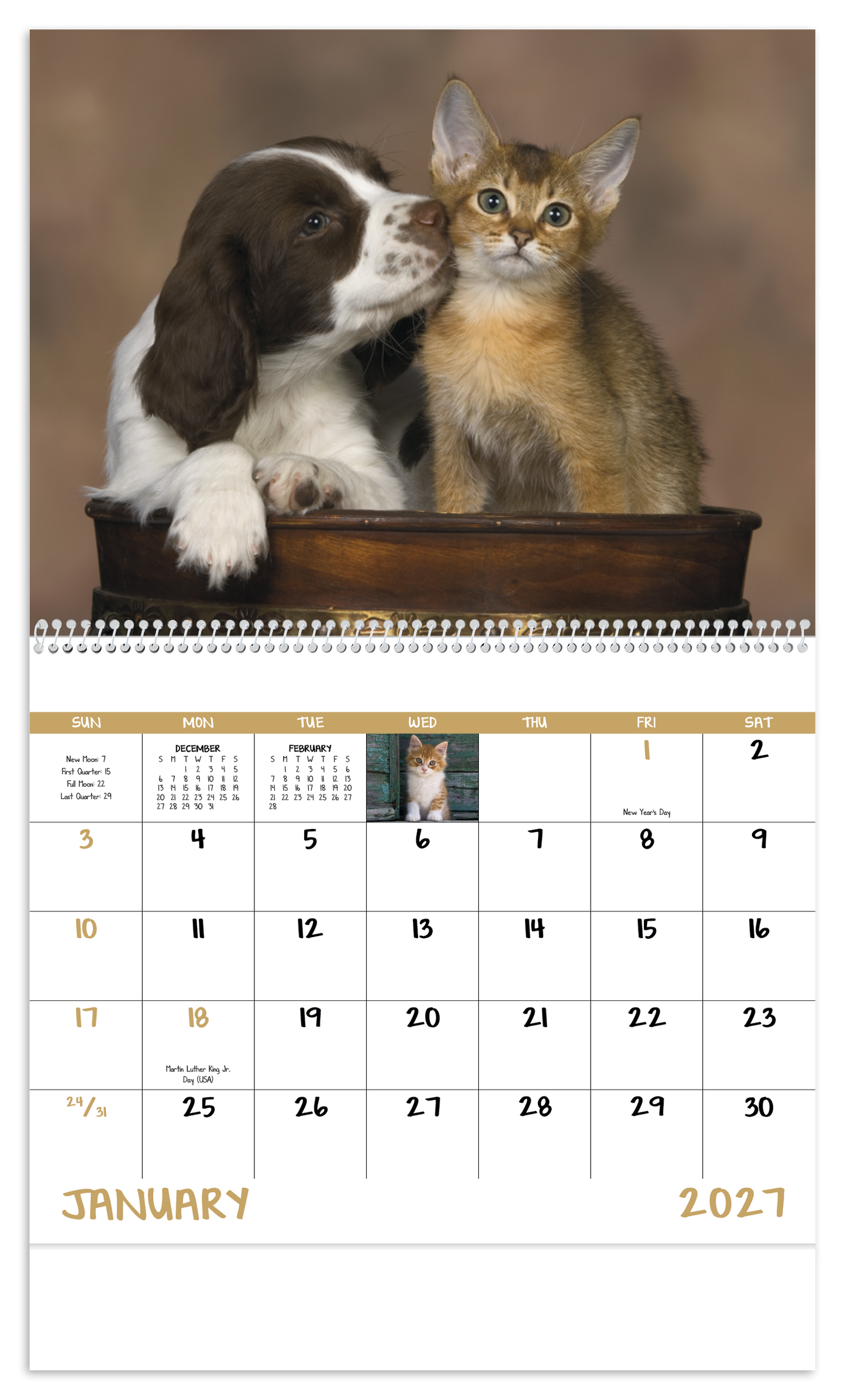 Puppies & Kittens - Spiral Calendar