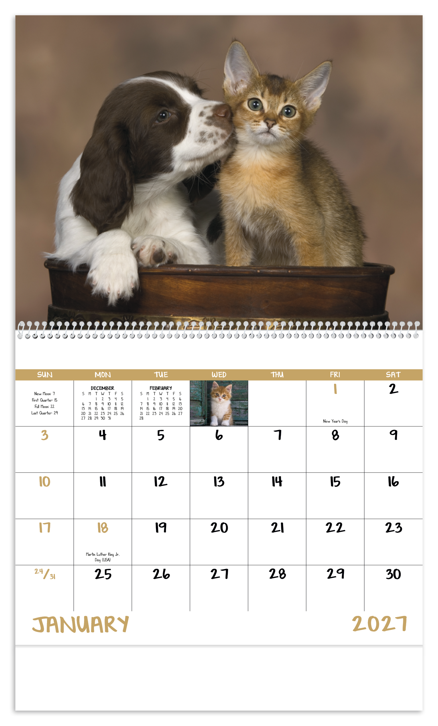 Puppies & Kittens - Spiral Calendar