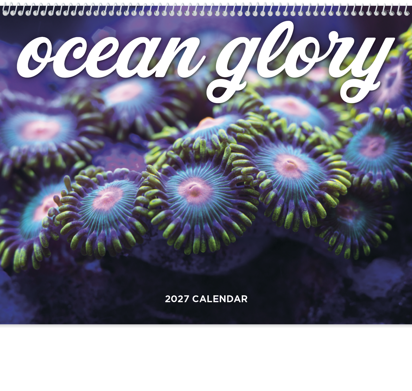 Ocean Glory - Spiral Calendar