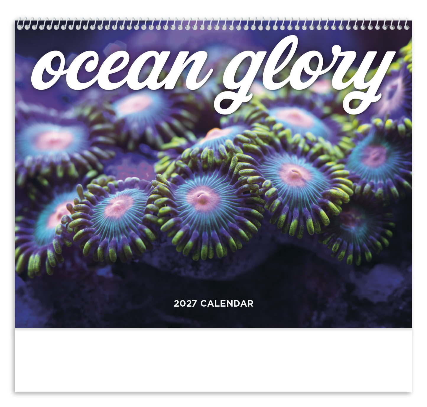 Ocean Glory - Spiral Calendar