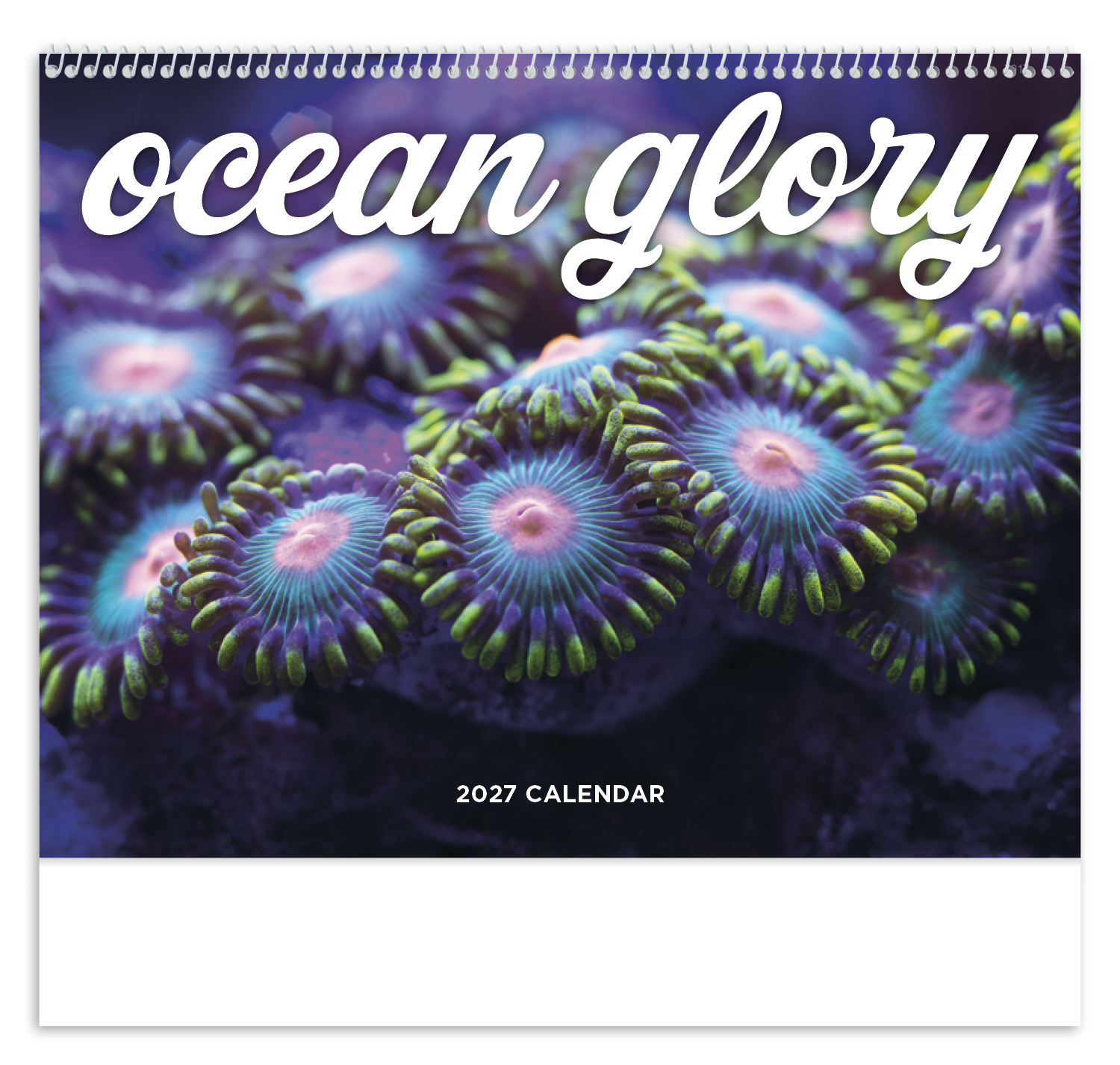 Ocean Glory - Spiral Calendar