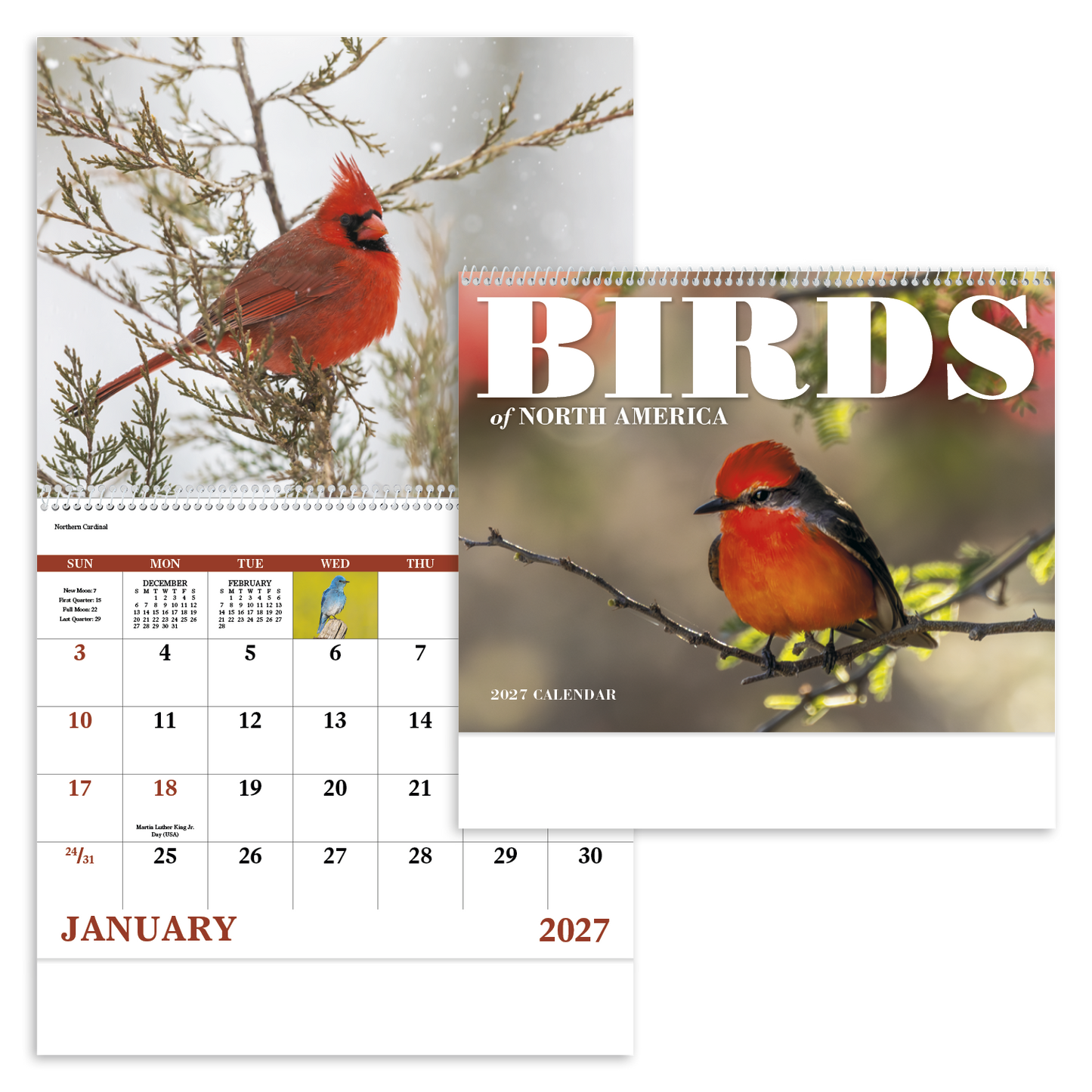 Birds of North America - Spiral Calendar