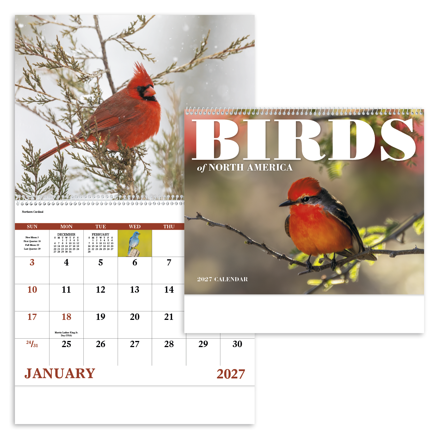 Birds of North America - Spiral Calendar