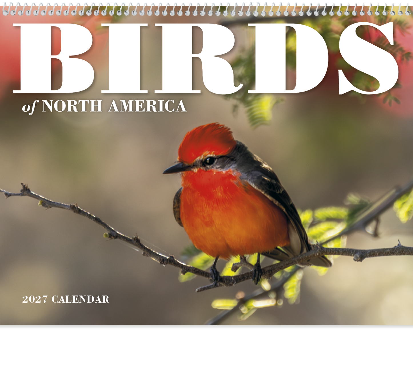Birds of North America - Spiral Calendar