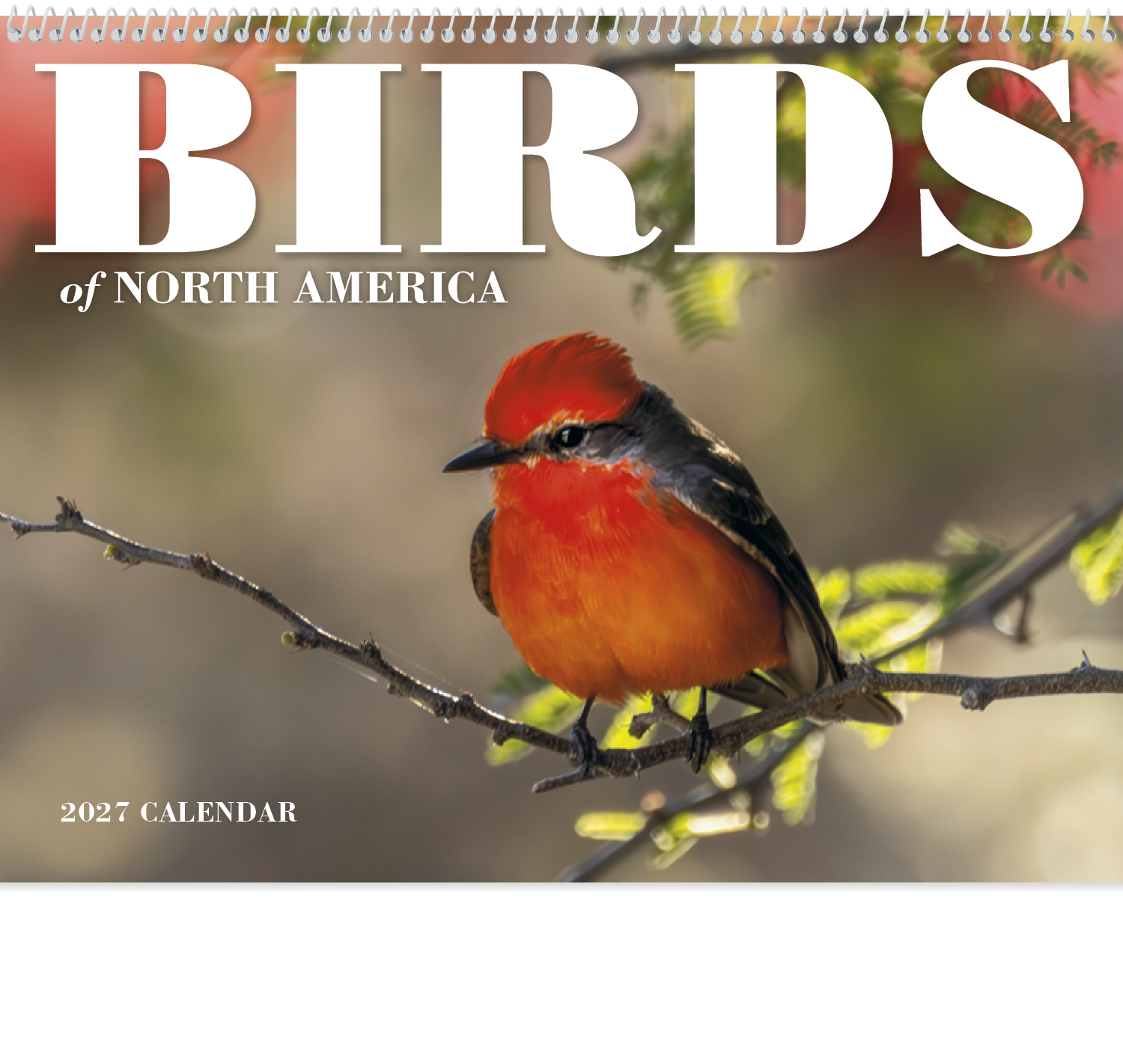 Birds of North America - Spiral Calendar