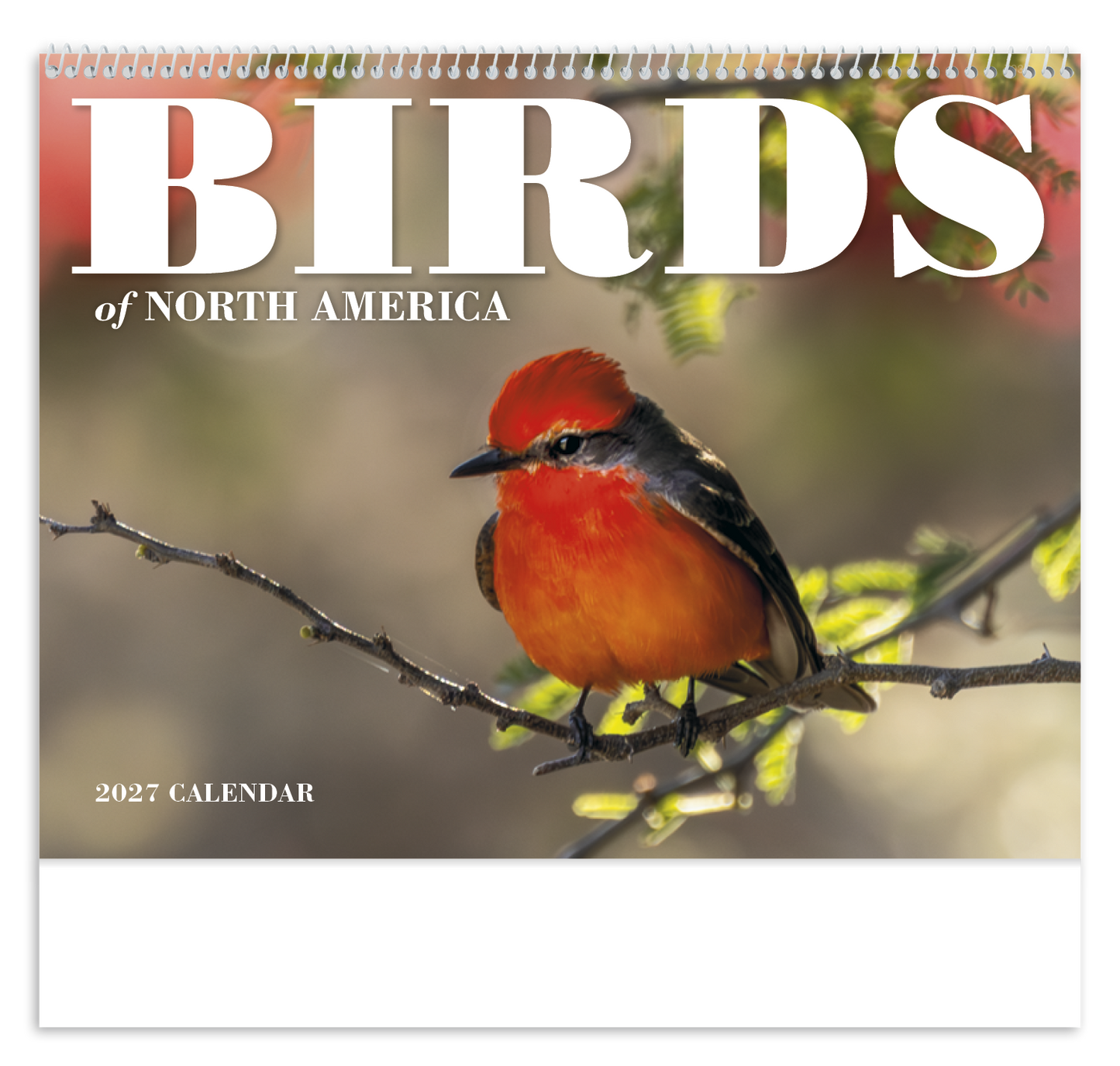 Birds of North America - Spiral Calendar