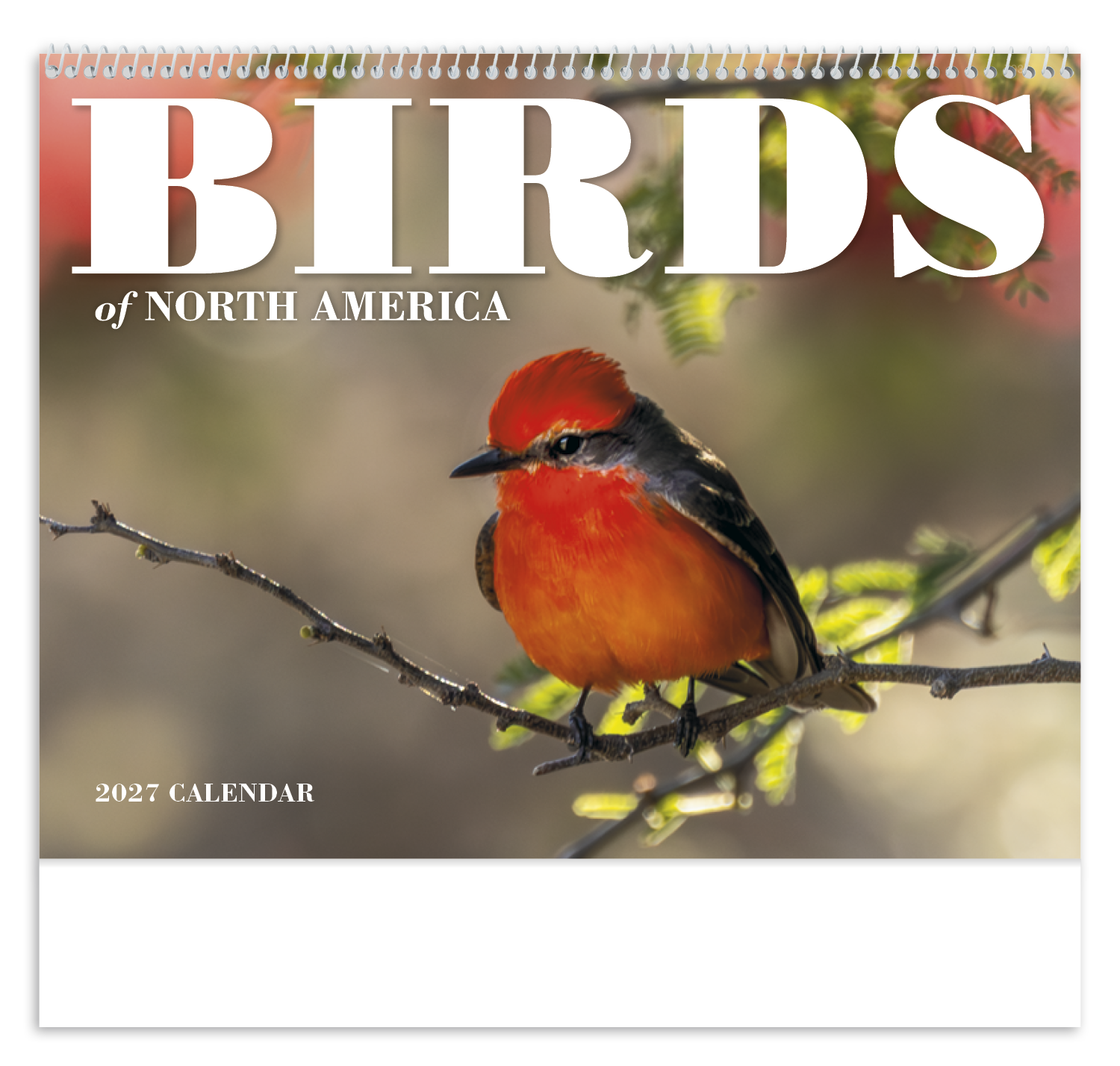 Birds of North America - Spiral Calendar