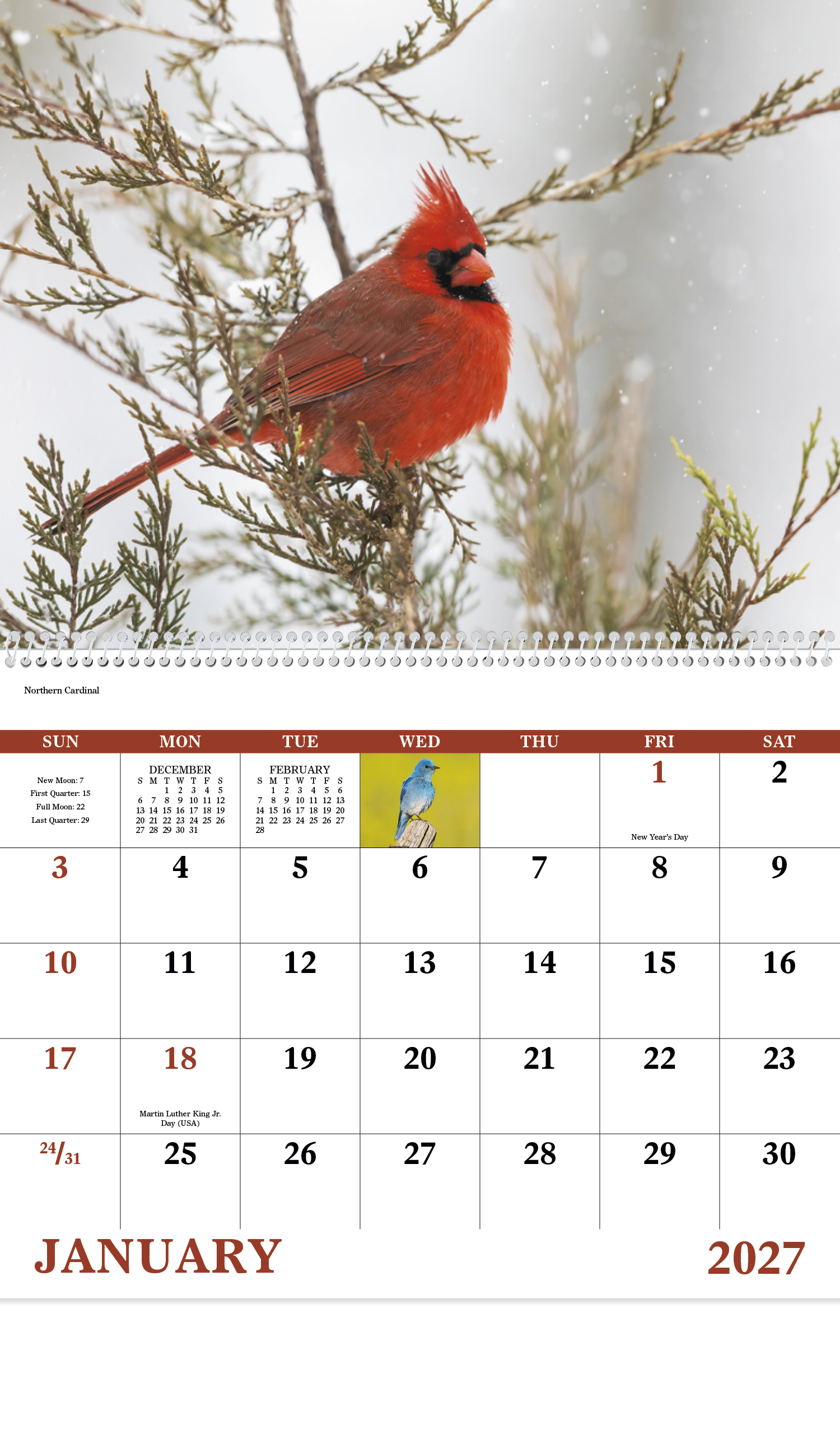 Birds of North America - Spiral Calendar