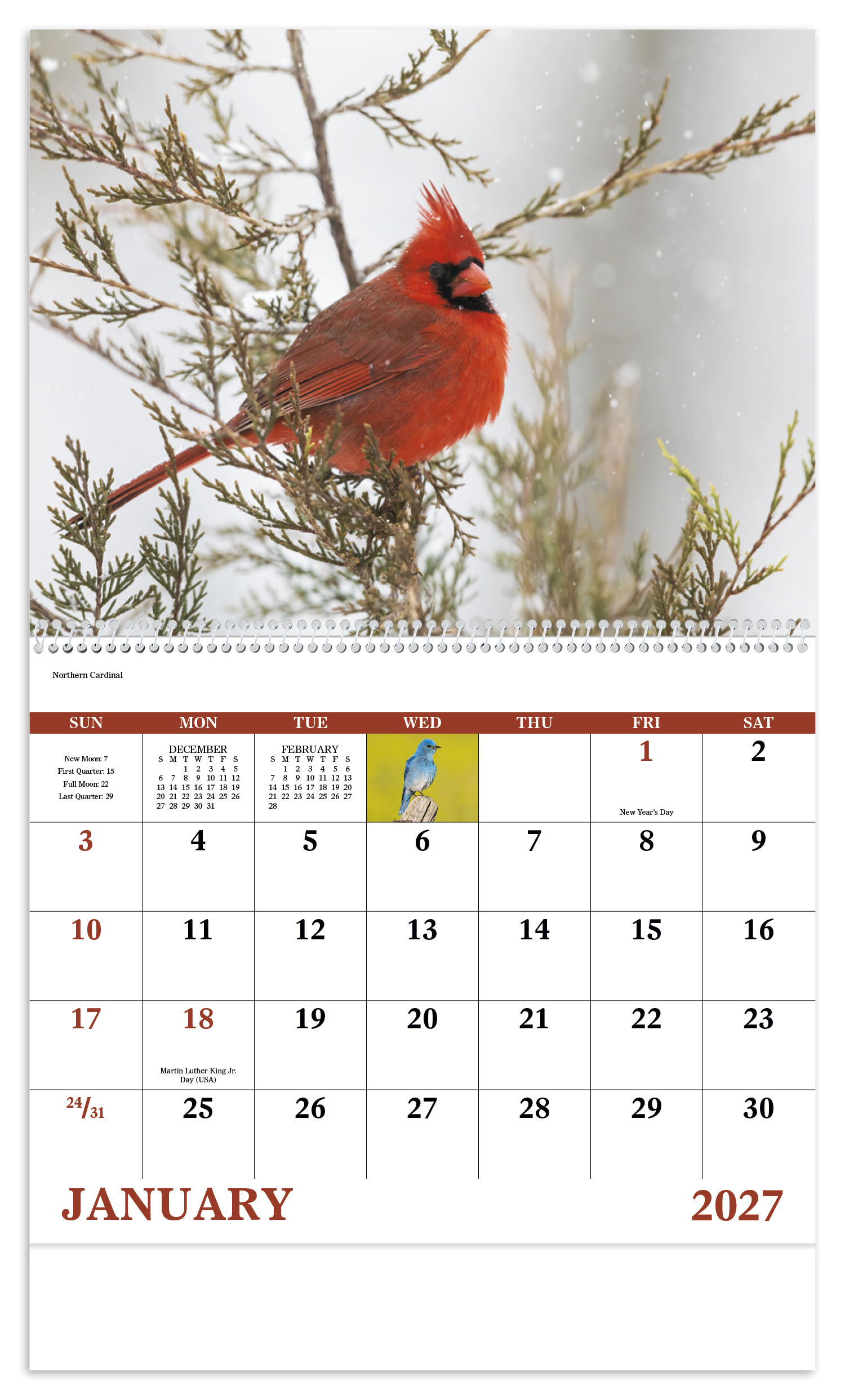 Birds of North America - Spiral Calendar