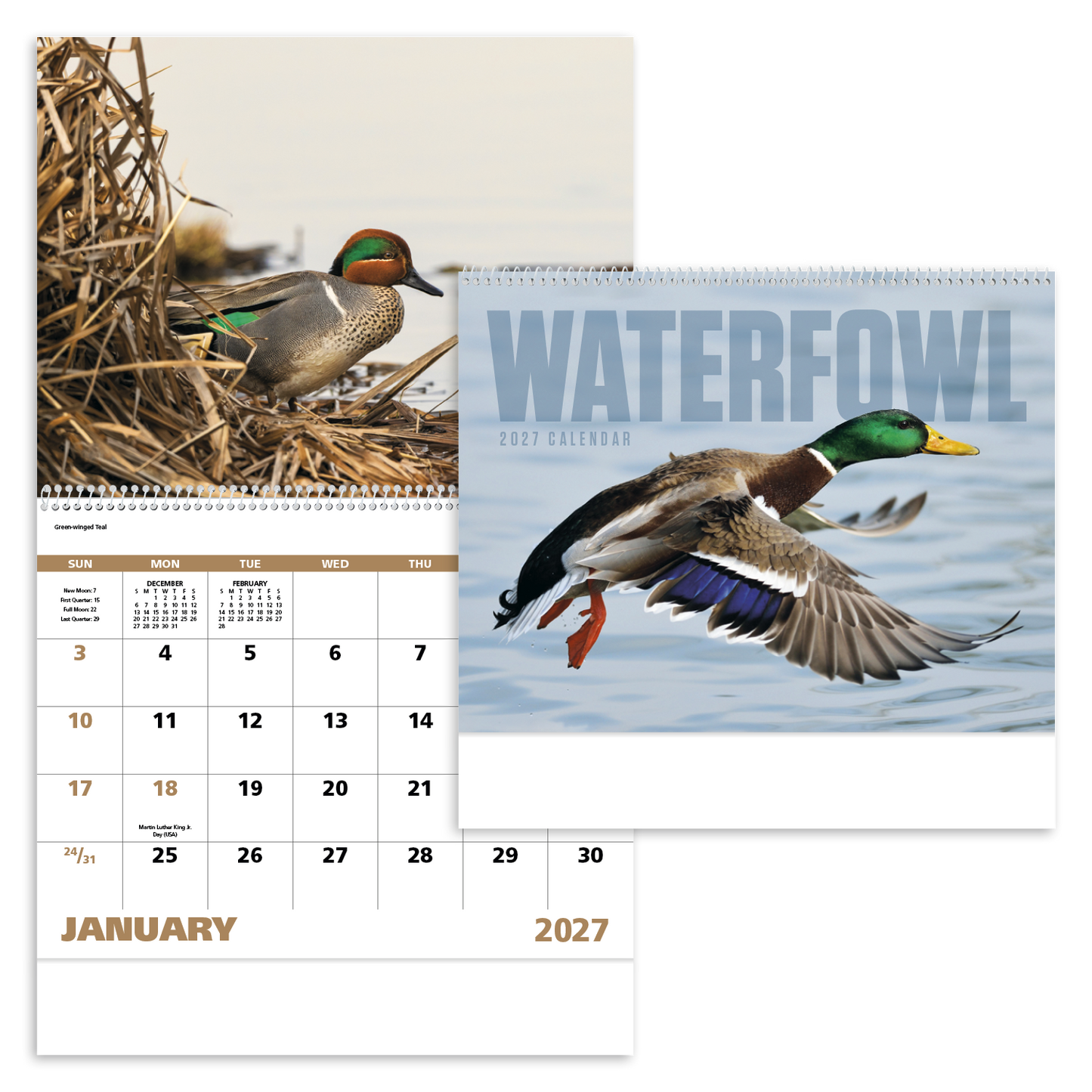 Waterfowl - Spiral Calendar