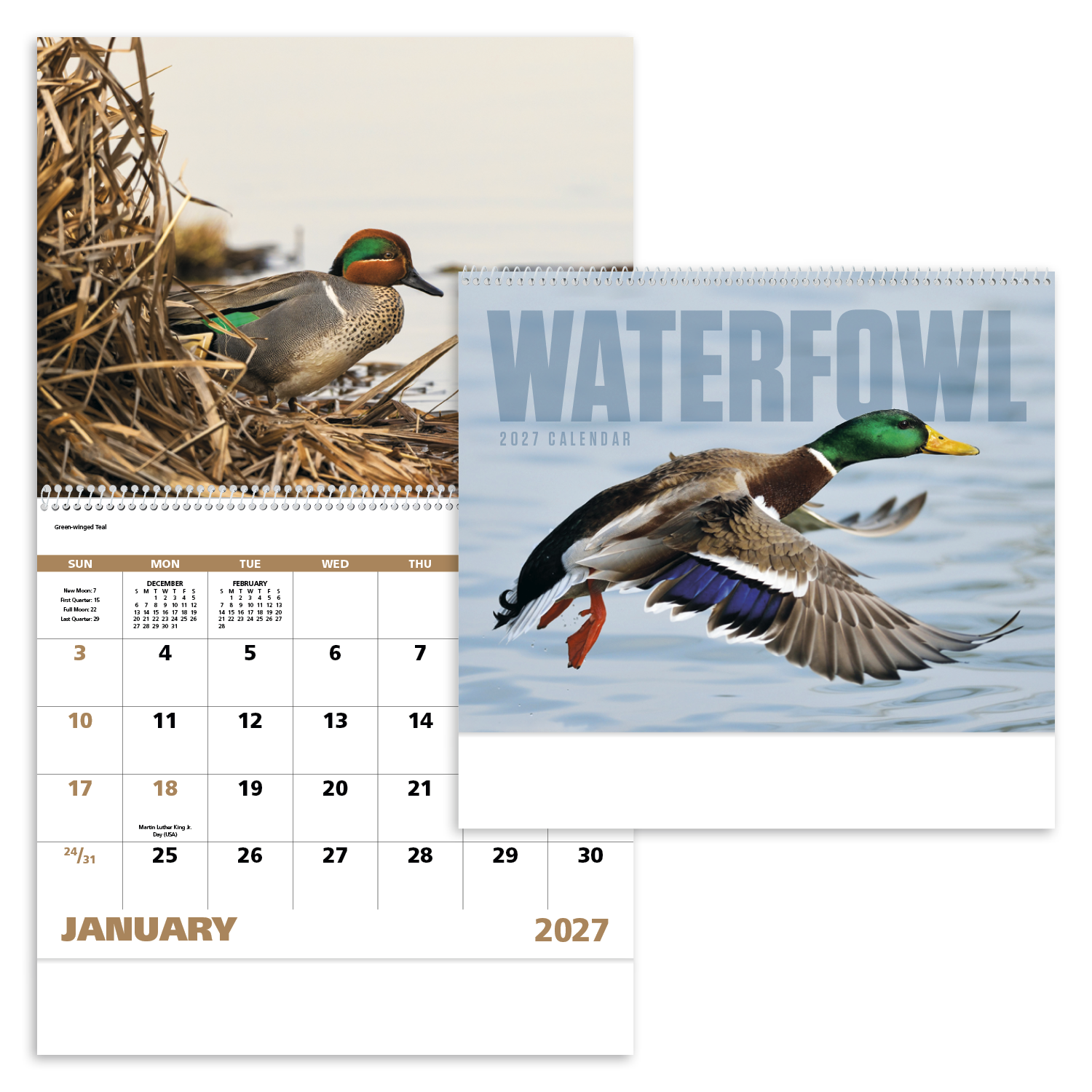 Waterfowl - Spiral Calendar