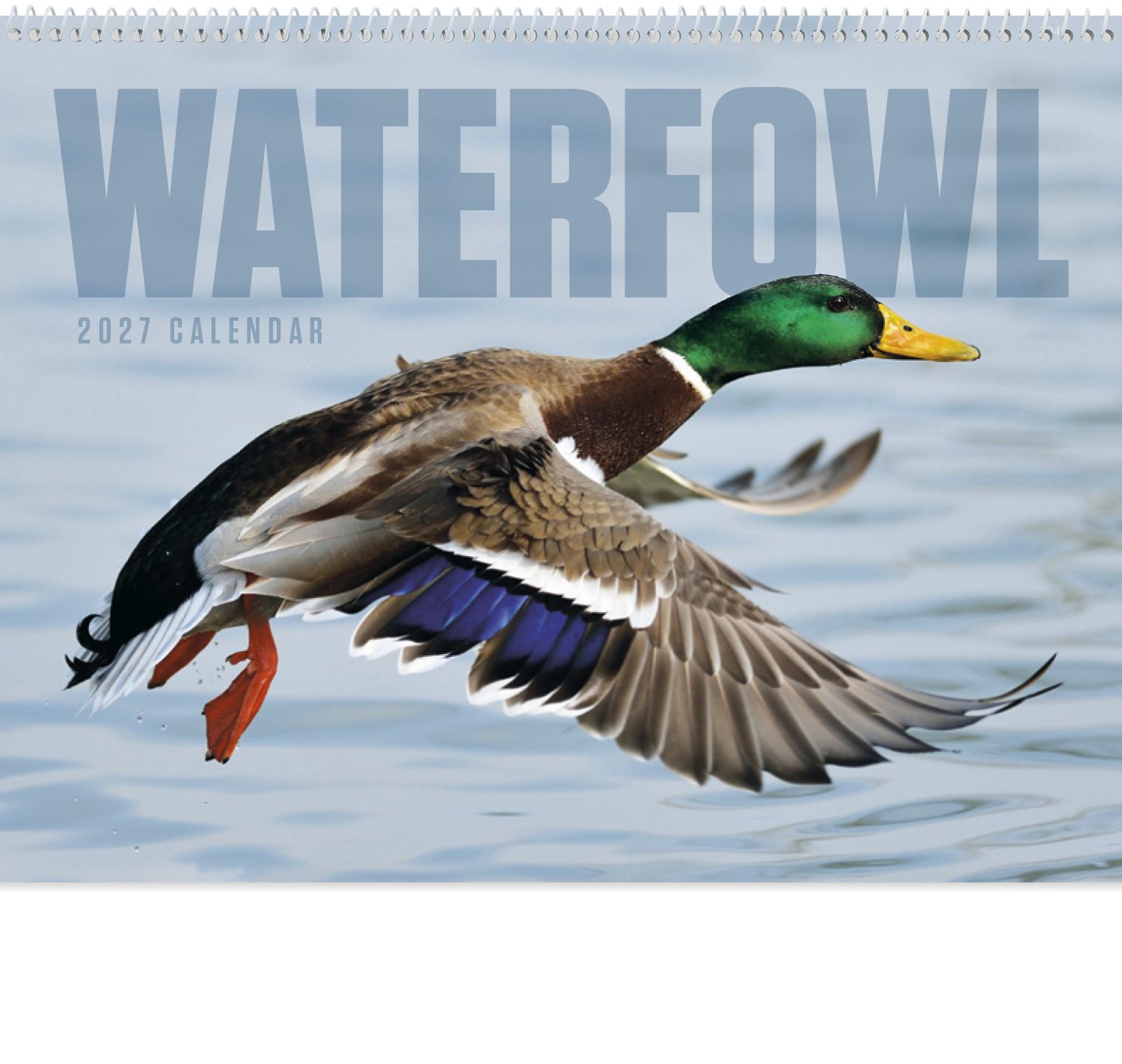 Waterfowl - Spiral Calendar