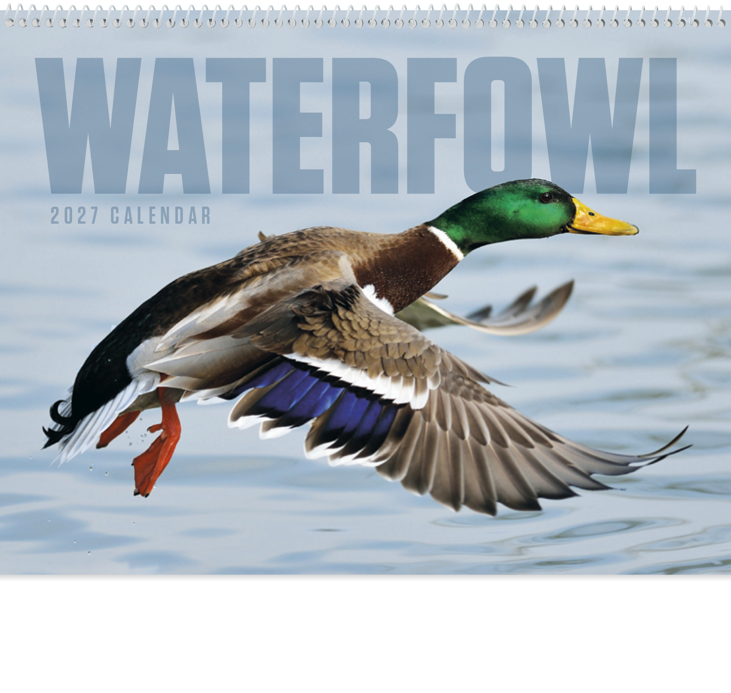 Waterfowl - Spiral Calendar
