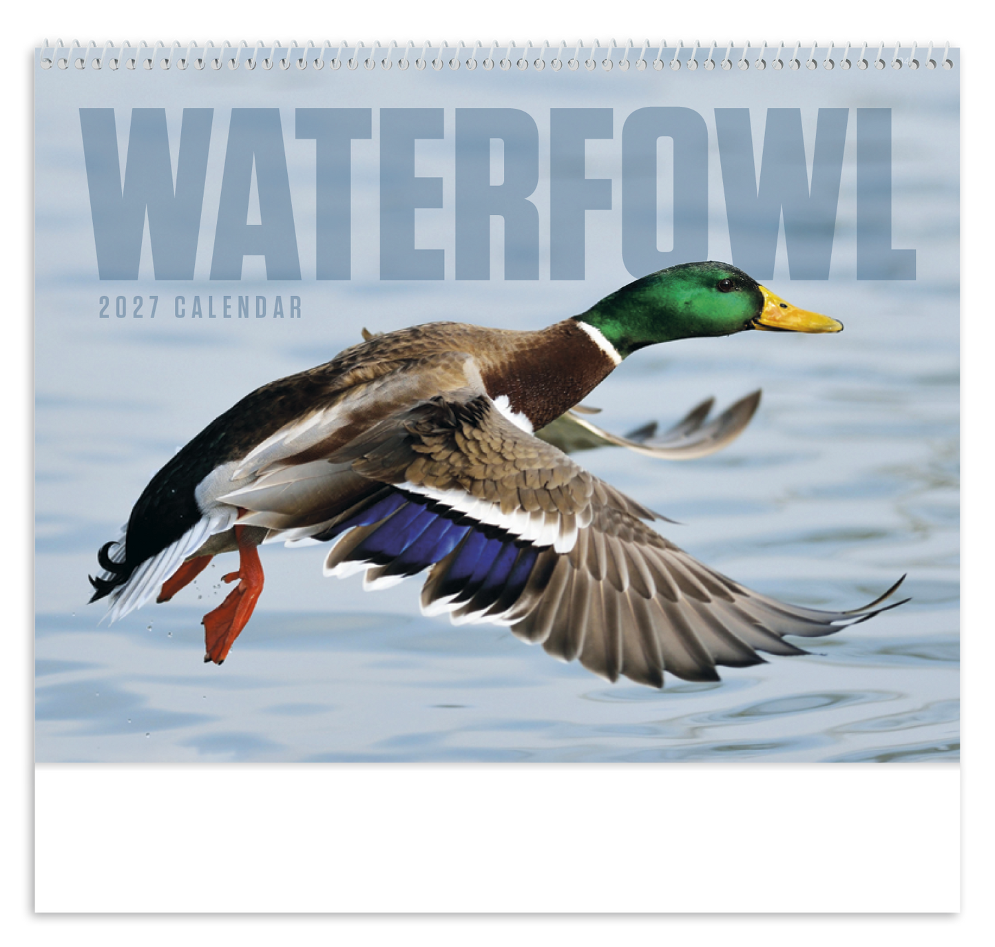 Waterfowl - Spiral Calendar