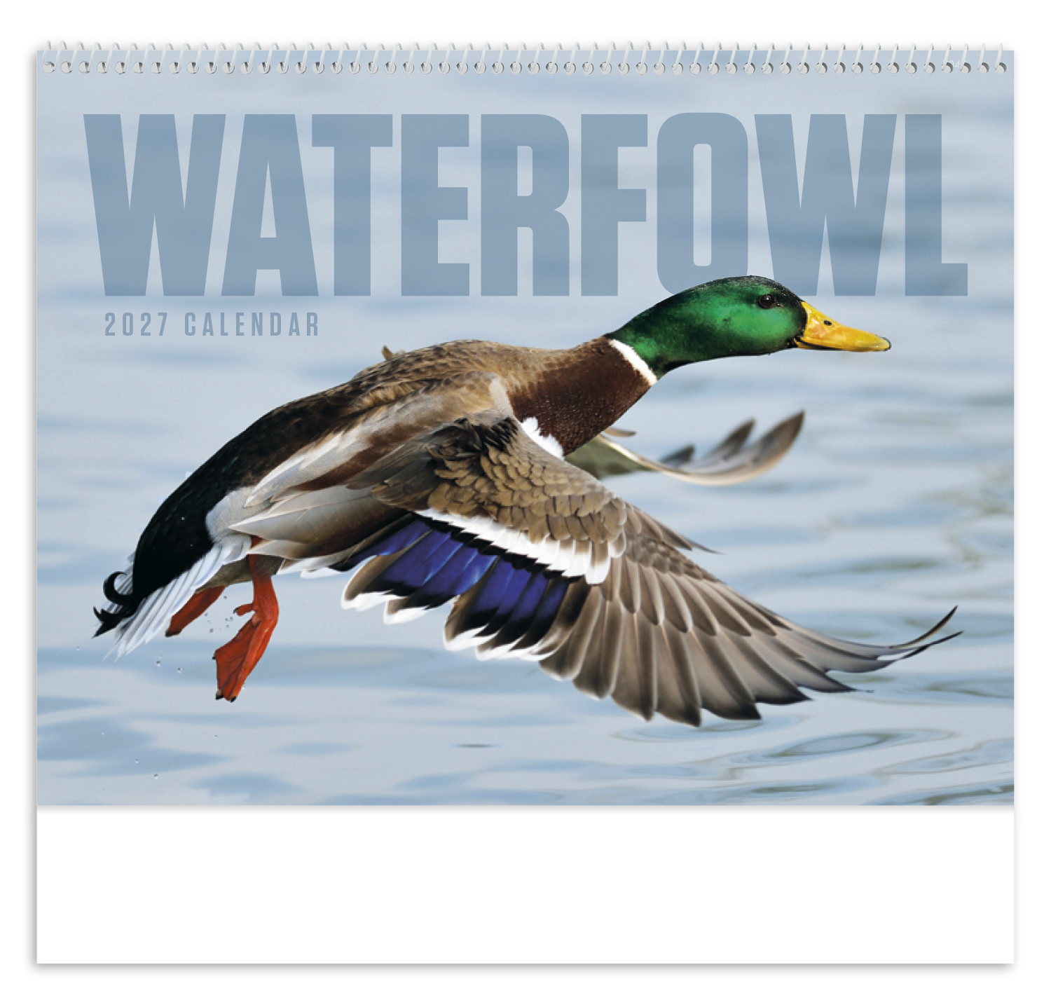 Waterfowl - Spiral Calendar